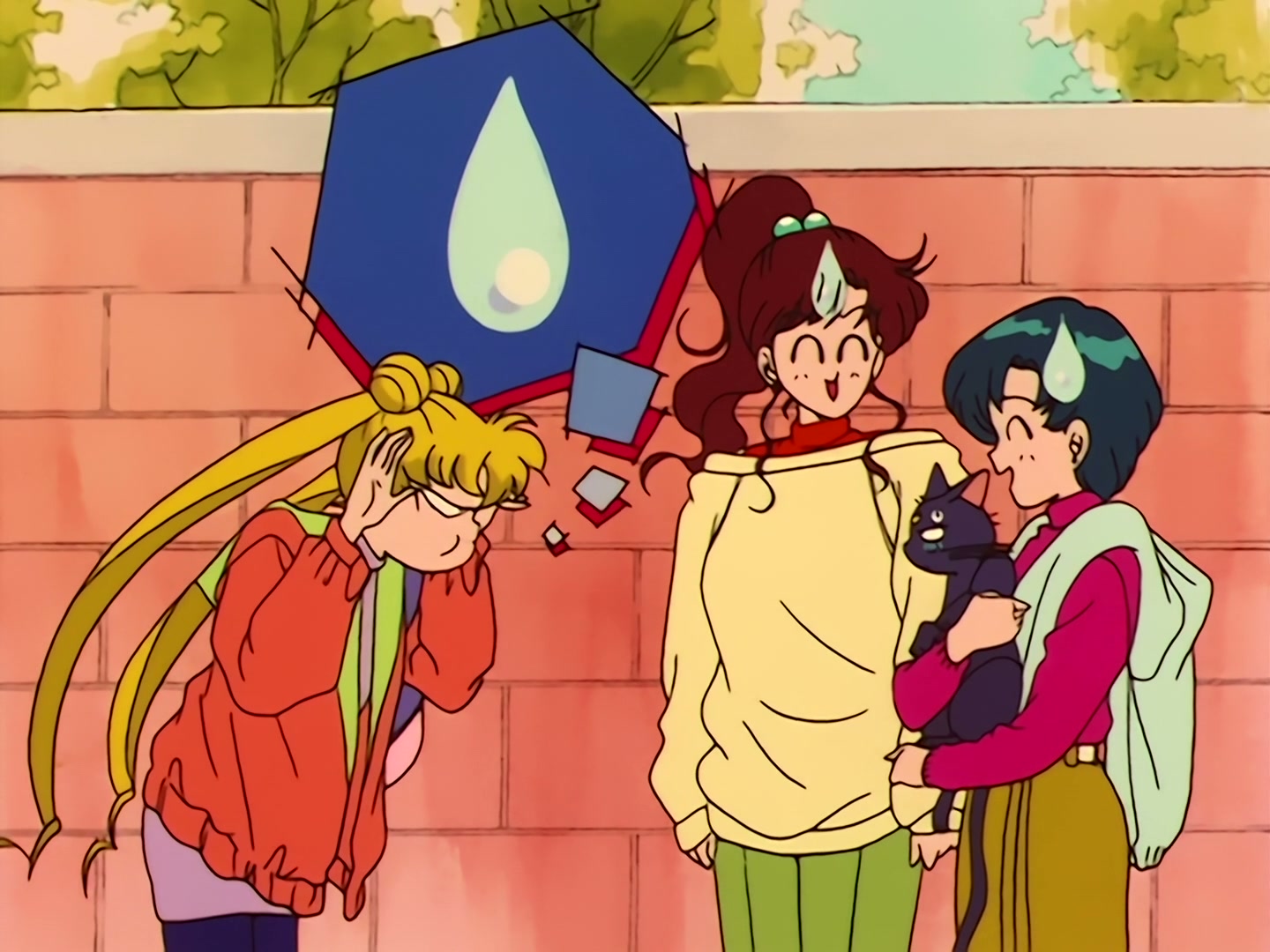 Sailor Moon Ep 31: Loved and Chased! Luna's Worst Day Ever @ 00:07:12