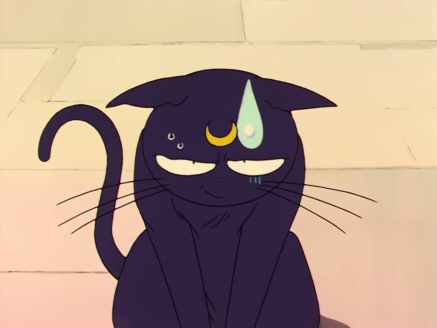 Sailor Moon Ep 31: Loved and Chased! Luna's Worst Day Ever @ 00:07:29