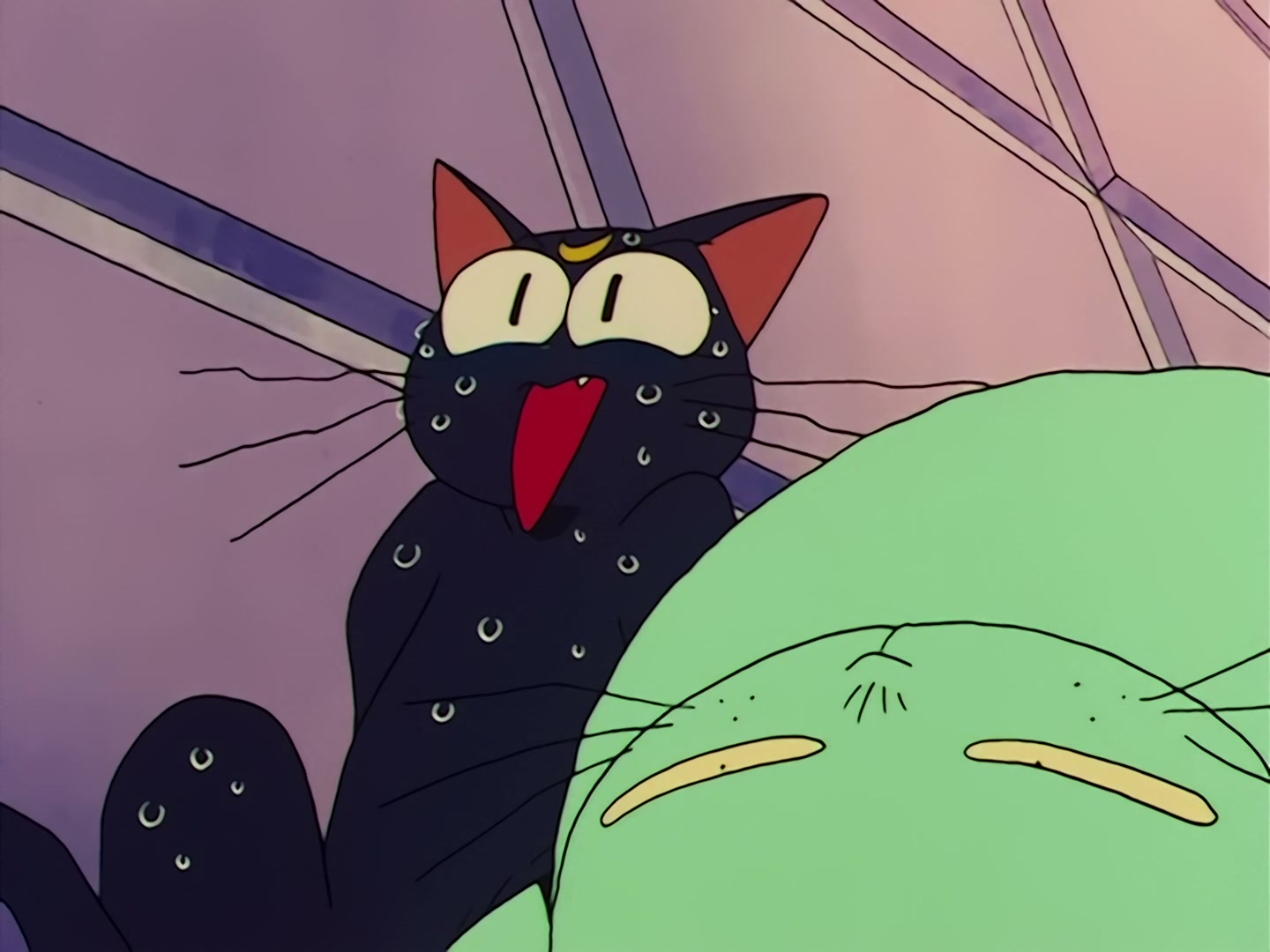 Sailor Moon Ep 31: Loved and Chased! Luna's Worst Day Ever @ 00:16:48