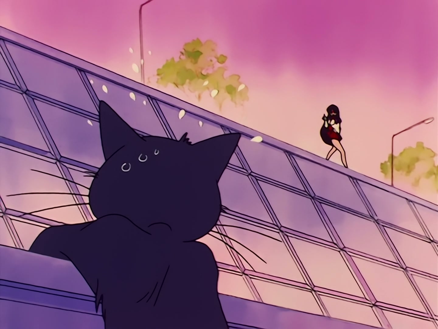 Sailor Moon Ep 31: Loved and Chased! Luna's Worst Day Ever @ 00:17:40