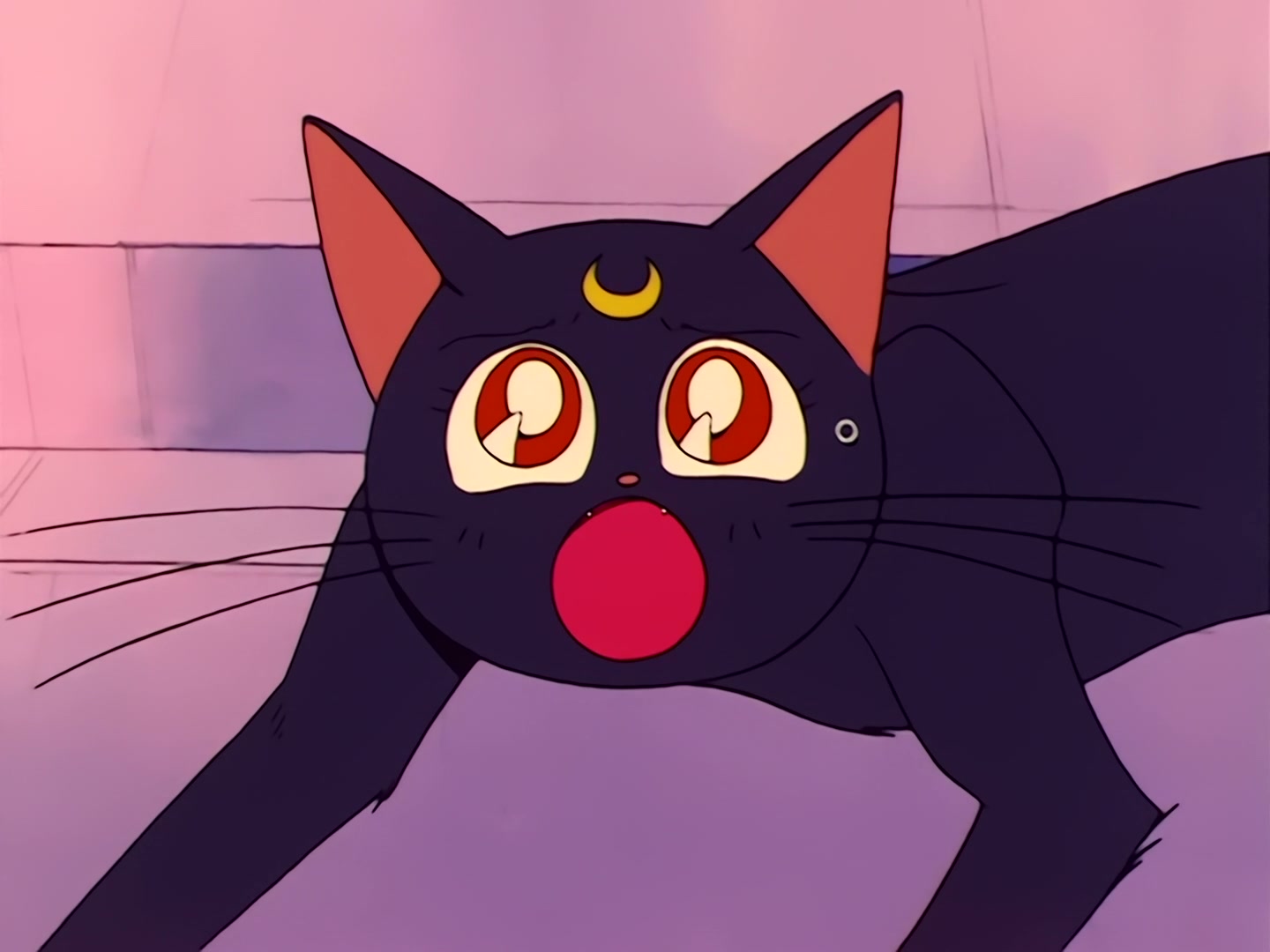 Sailor Moon Ep 31: Loved and Chased! Luna's Worst Day Ever @ 00:19:07