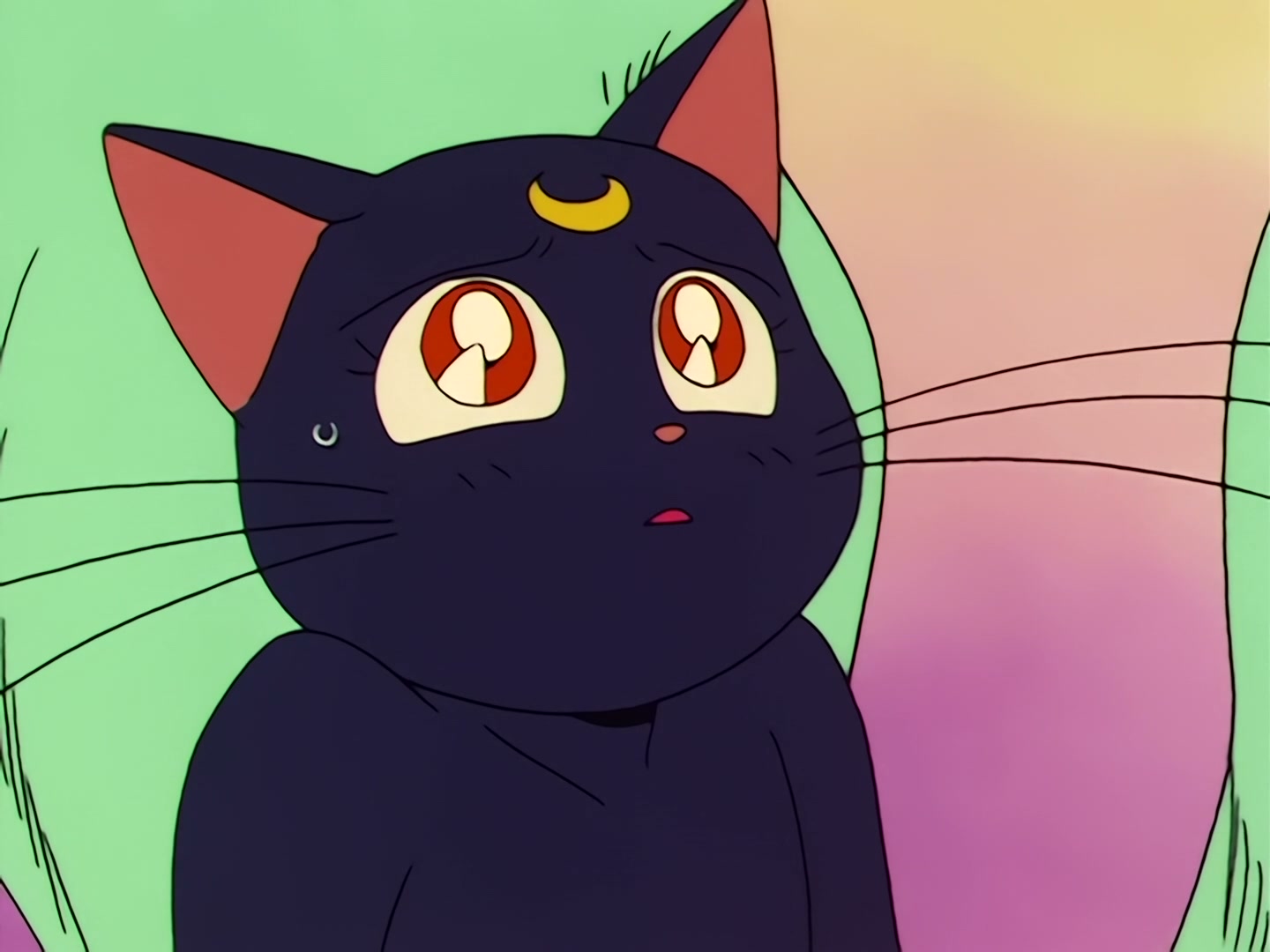 Sailor Moon Ep 31: Loved and Chased! Luna's Worst Day Ever @ 00:19:41