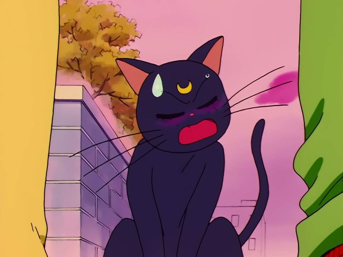 Sailor Moon Ep 31: Loved and Chased! Luna's Worst Day Ever @ 00:21:43