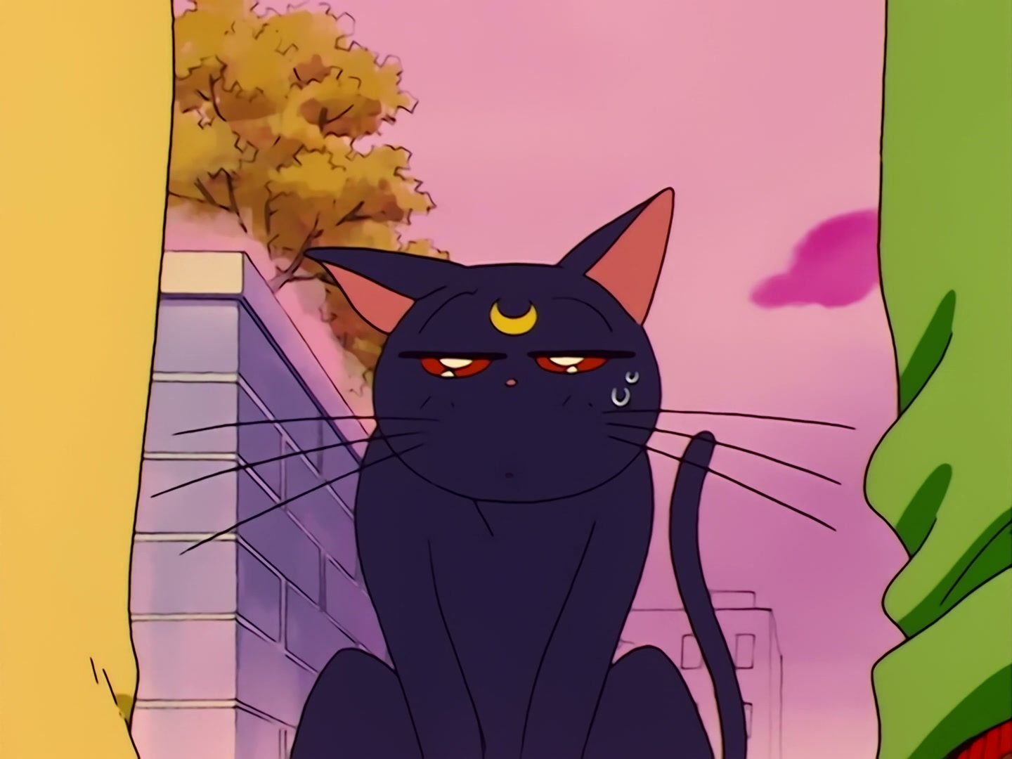 Sailor Moon Ep 31: Loved and Chased! Luna's Worst Day Ever @ 00:21:47