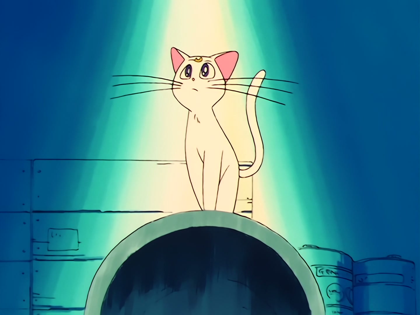 Sailor Moon Ep 33: The Last Sailor Guardian! Sailor Venus Appears @ 00:20:20
