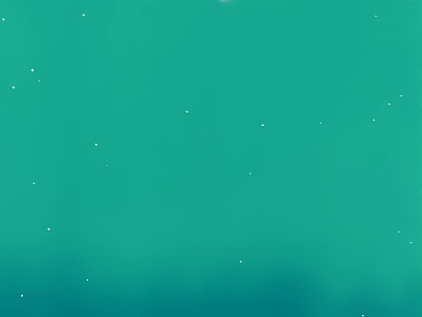 Sailor Moon Ep 33: The Last Sailor Guardian! Sailor Venus Appears @ 00:21:25