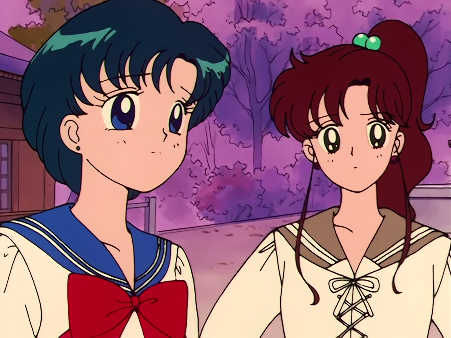 Sailor Moon Ep 34: The Sparkling Silver Crystal! The Moon Princess Appears @ 00:08:17