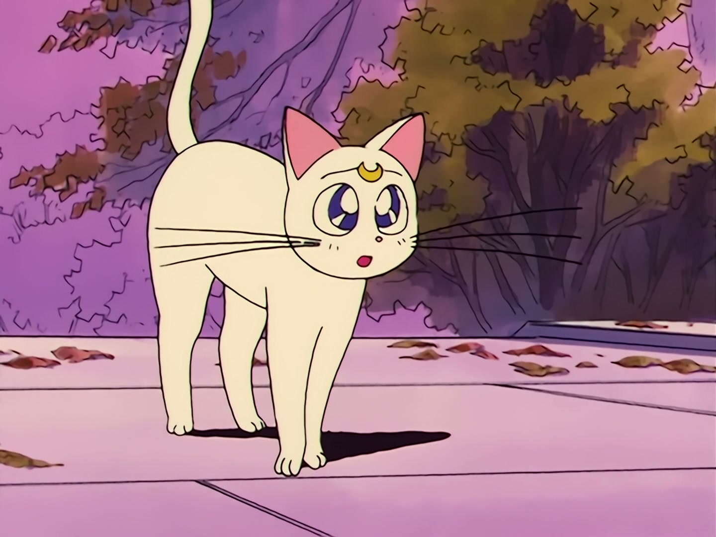 Sailor Moon Ep 34: The Sparkling Silver Crystal! The Moon Princess Appears @ 00:08:38