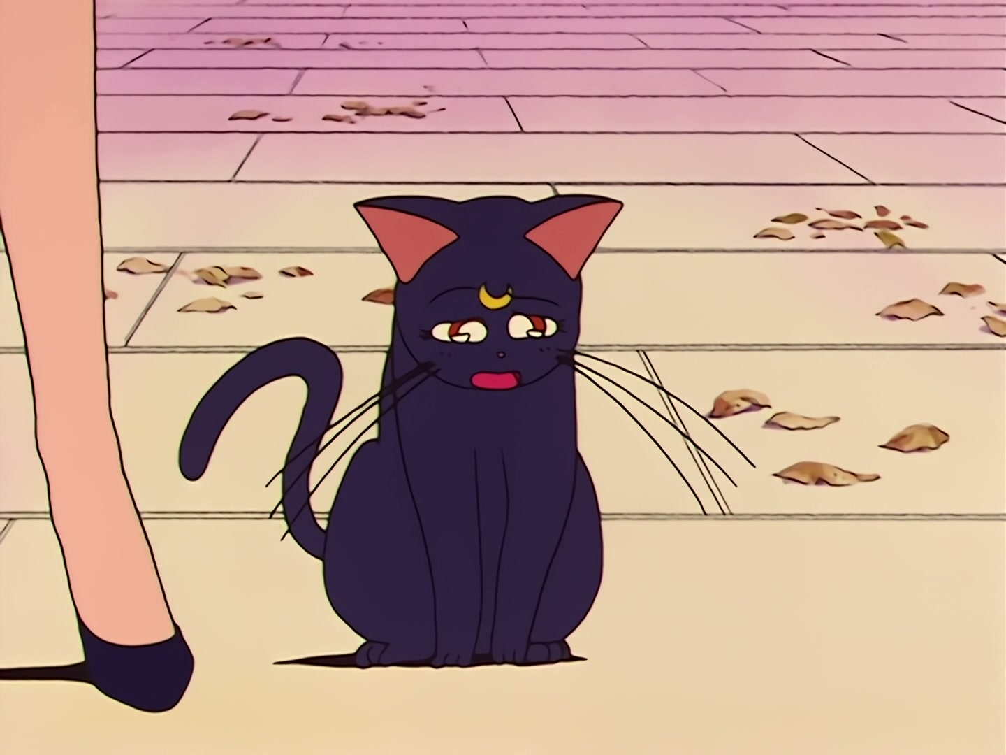 Sailor Moon Ep 34: The Sparkling Silver Crystal! The Moon Princess Appears @ 00:09:04
