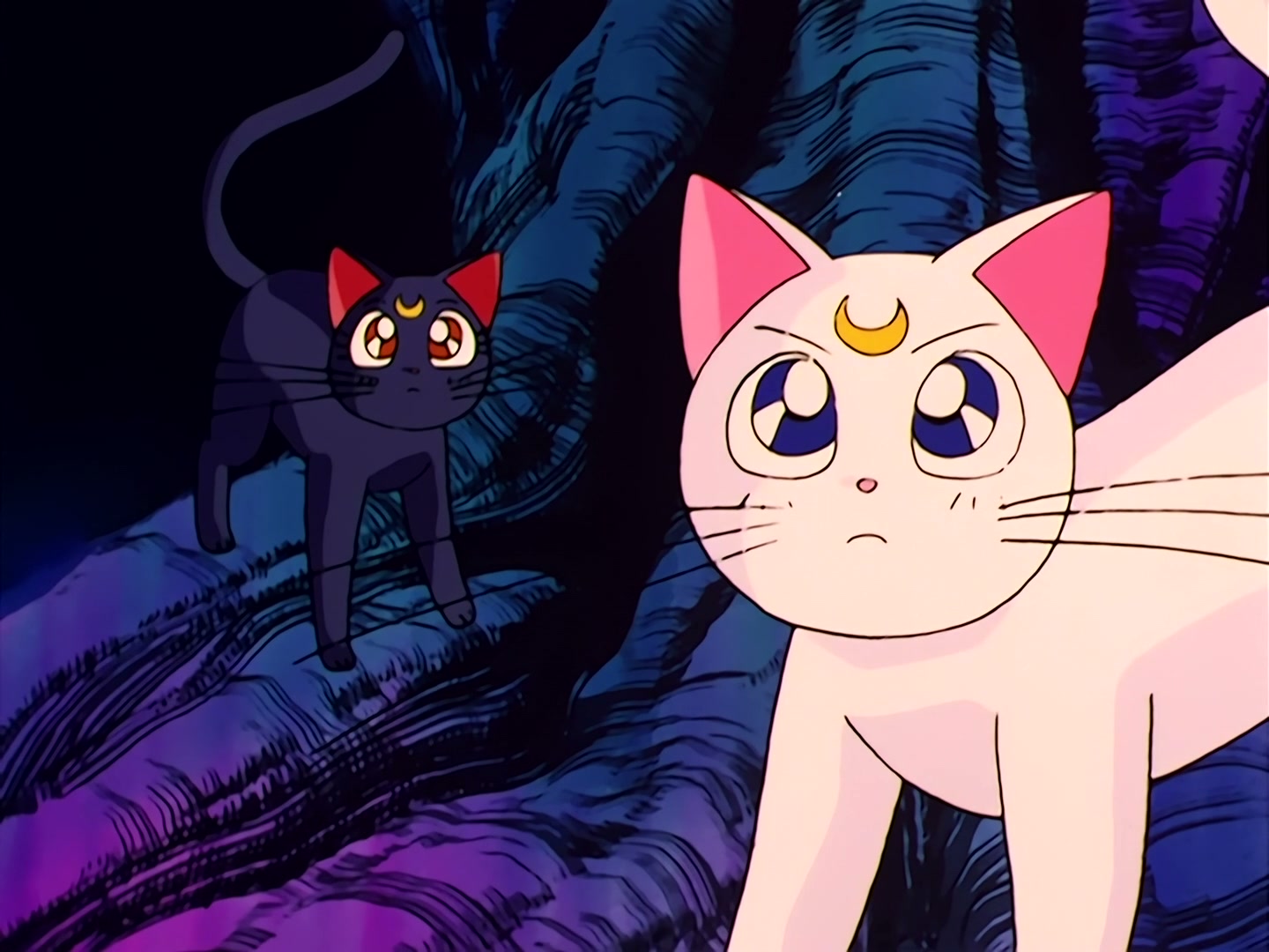 Sailor Moon Ep 35: Returning Memories! Usagi and Mamoru's Past @ 00:02:21