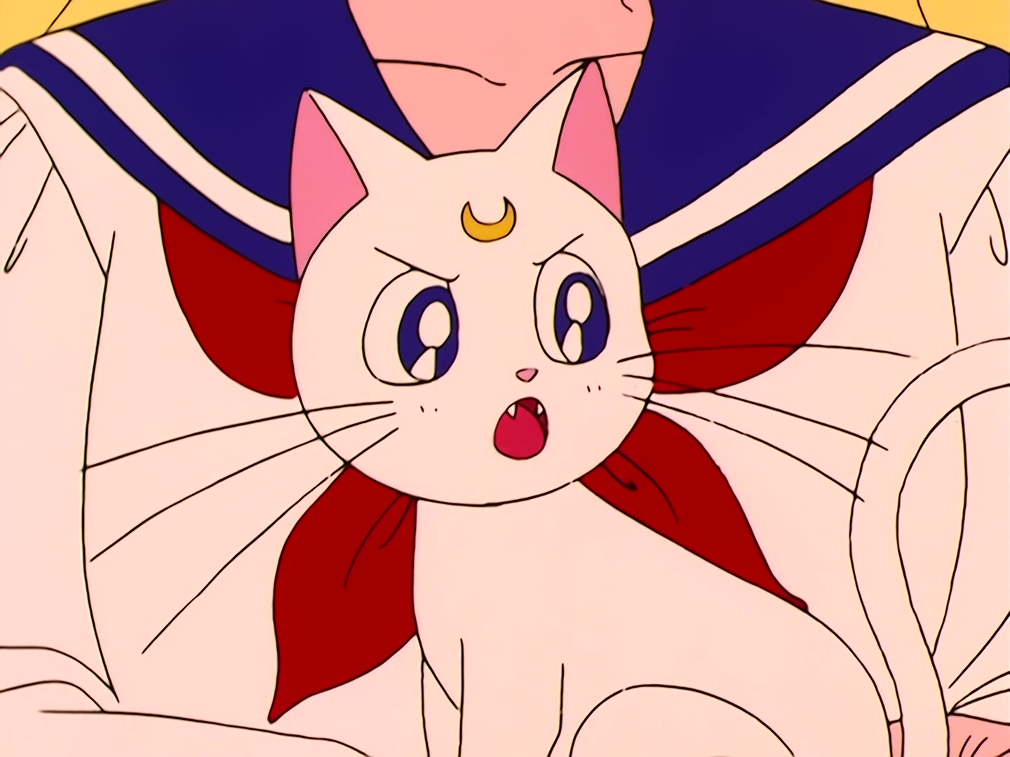 Sailor Moon Ep 36: Usagi is Confused! Is Tuxedo Mask Evil? @ 00:05:10