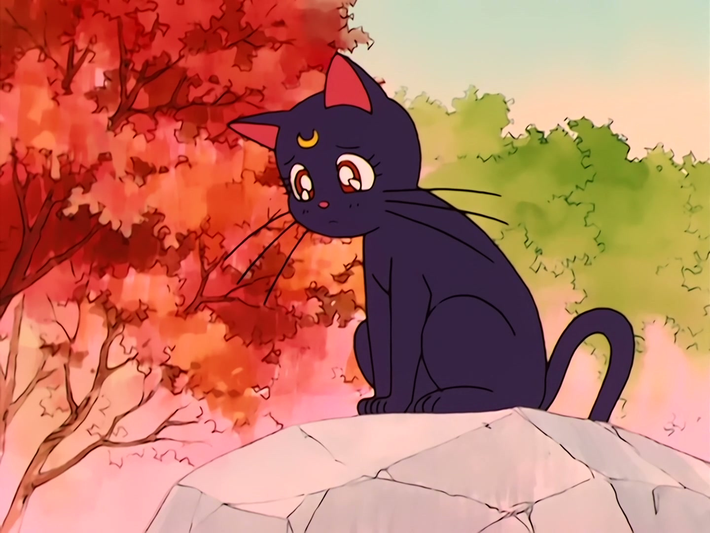 Sailor Moon Ep 36: Usagi is Confused! Is Tuxedo Mask Evil? @ 00:05:15