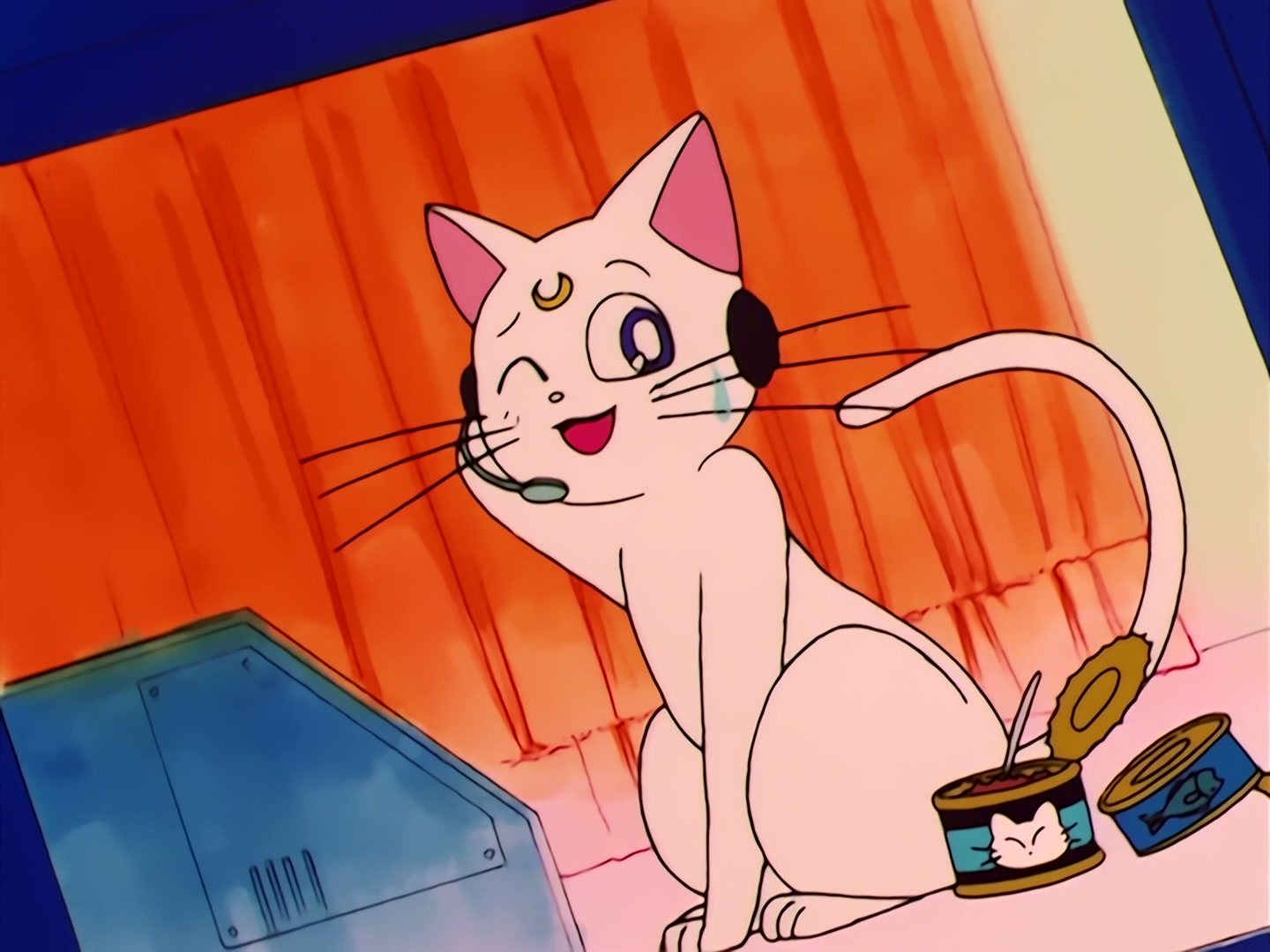 Sailor Moon Ep 37: Aim to be a Princess? Usagi's Weird Training @ 00:06:37