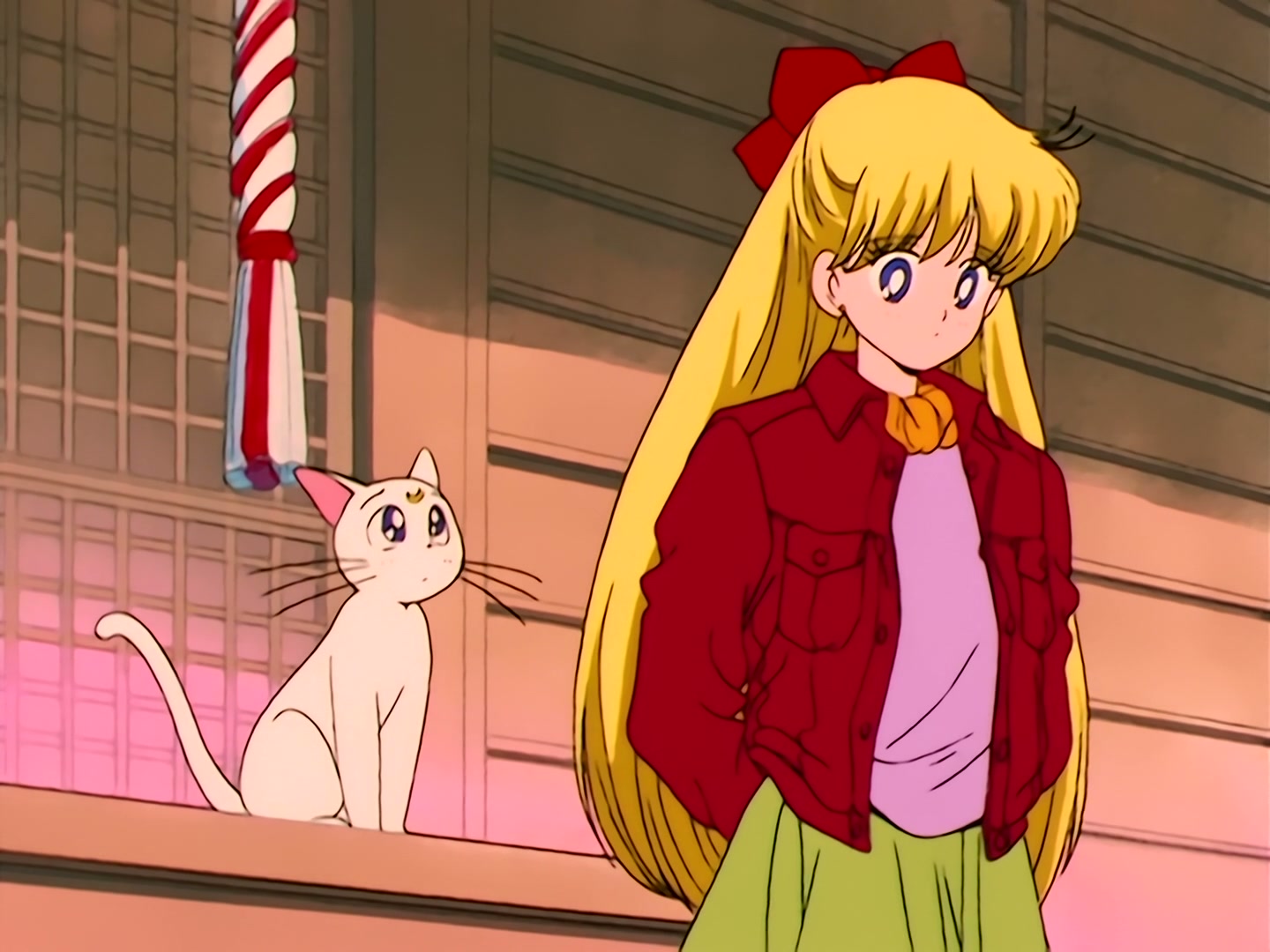 Sailor Moon Ep 37: Aim to be a Princess? Usagi's Weird Training @ 00:09:30