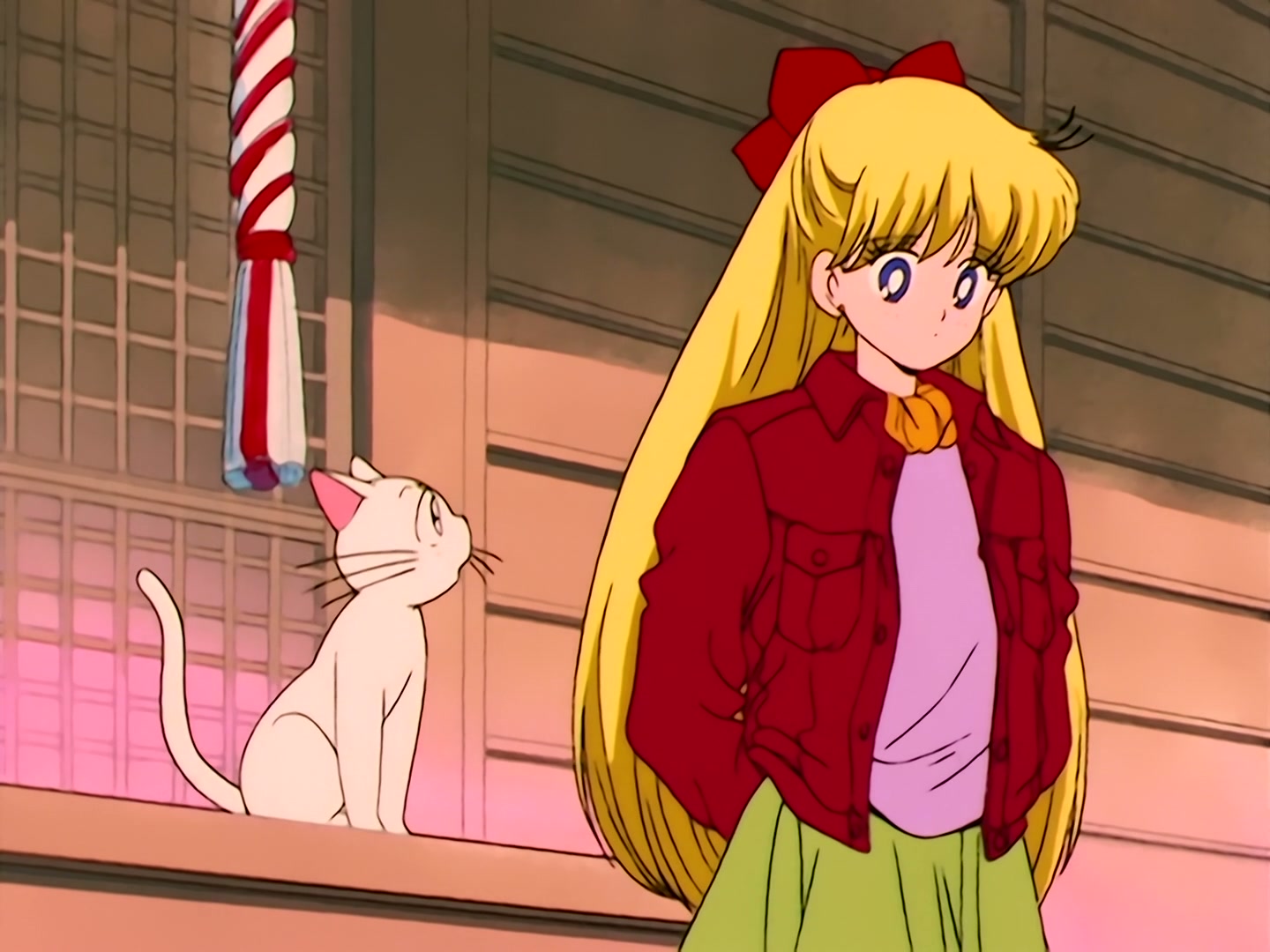 Sailor Moon Ep 37: Aim to be a Princess? Usagi's Weird Training @ 00:09:35