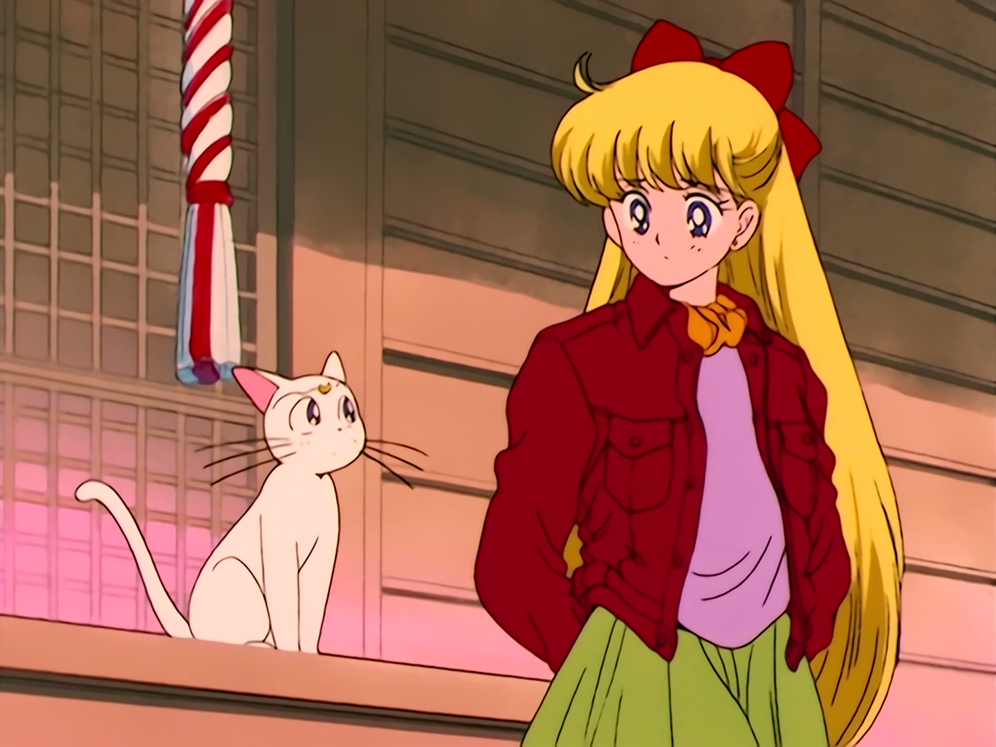 Sailor Moon Ep 37: Aim to be a Princess? Usagi's Weird Training @ 00:09:43