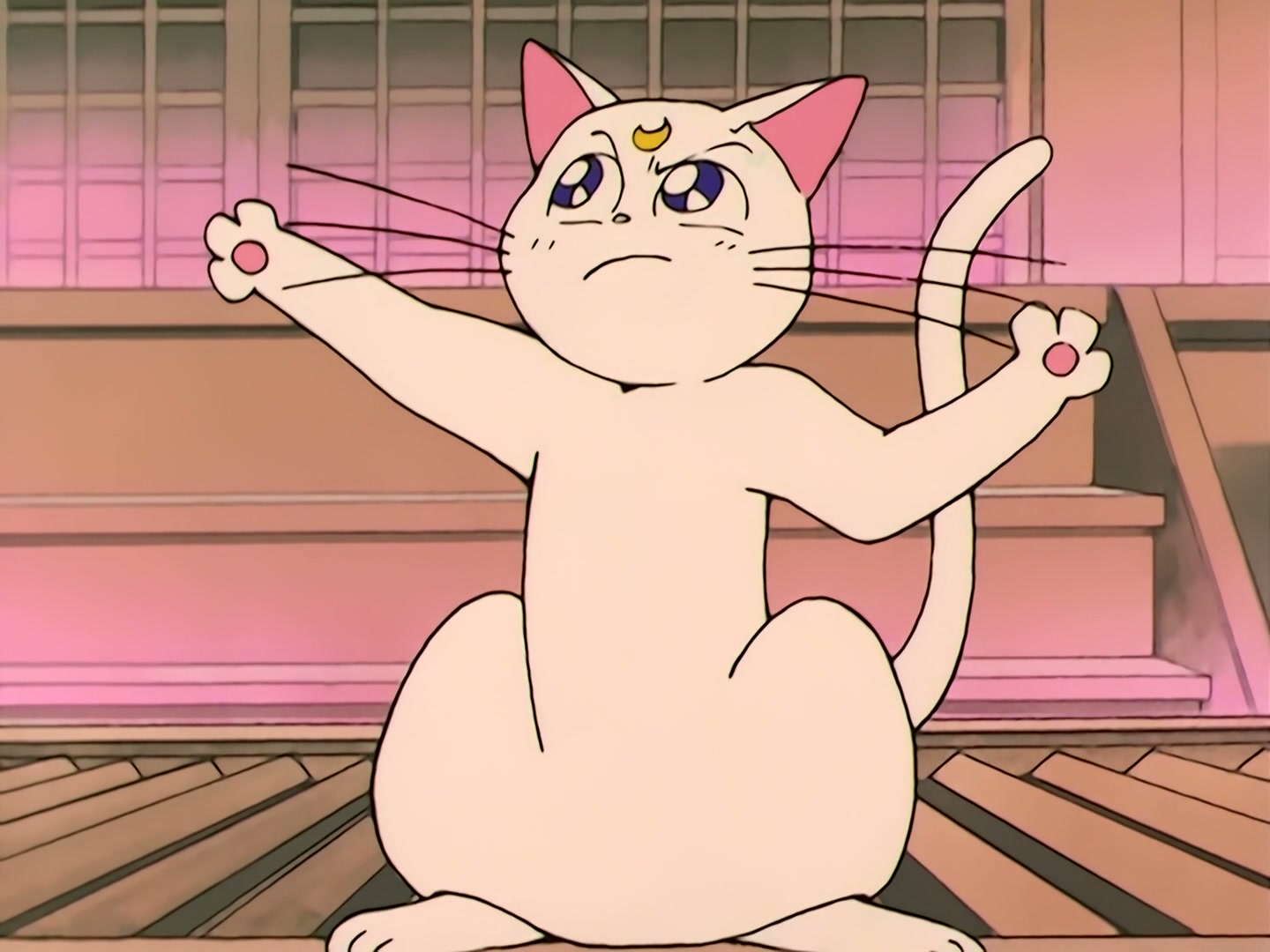Sailor Moon Ep 37: Aim to be a Princess? Usagi's Weird Training @ 00:09:52