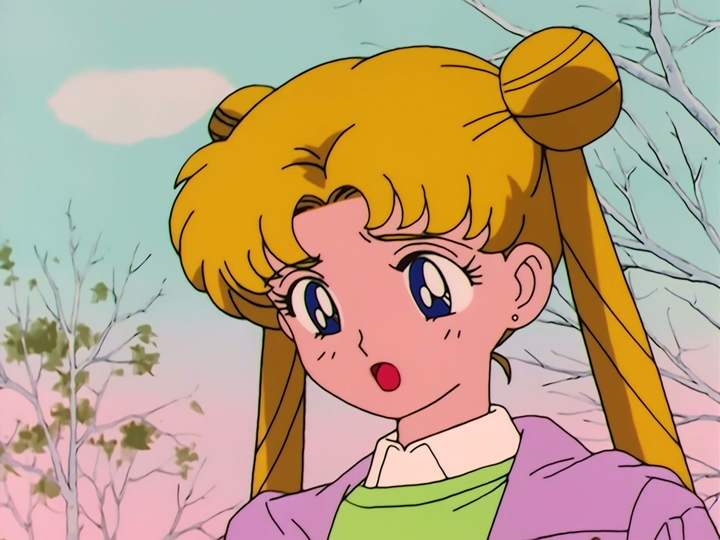 Sailor Moon Ep 40: The Legendary Lake Monster! Usagi's Family Ties @ 00:04:18