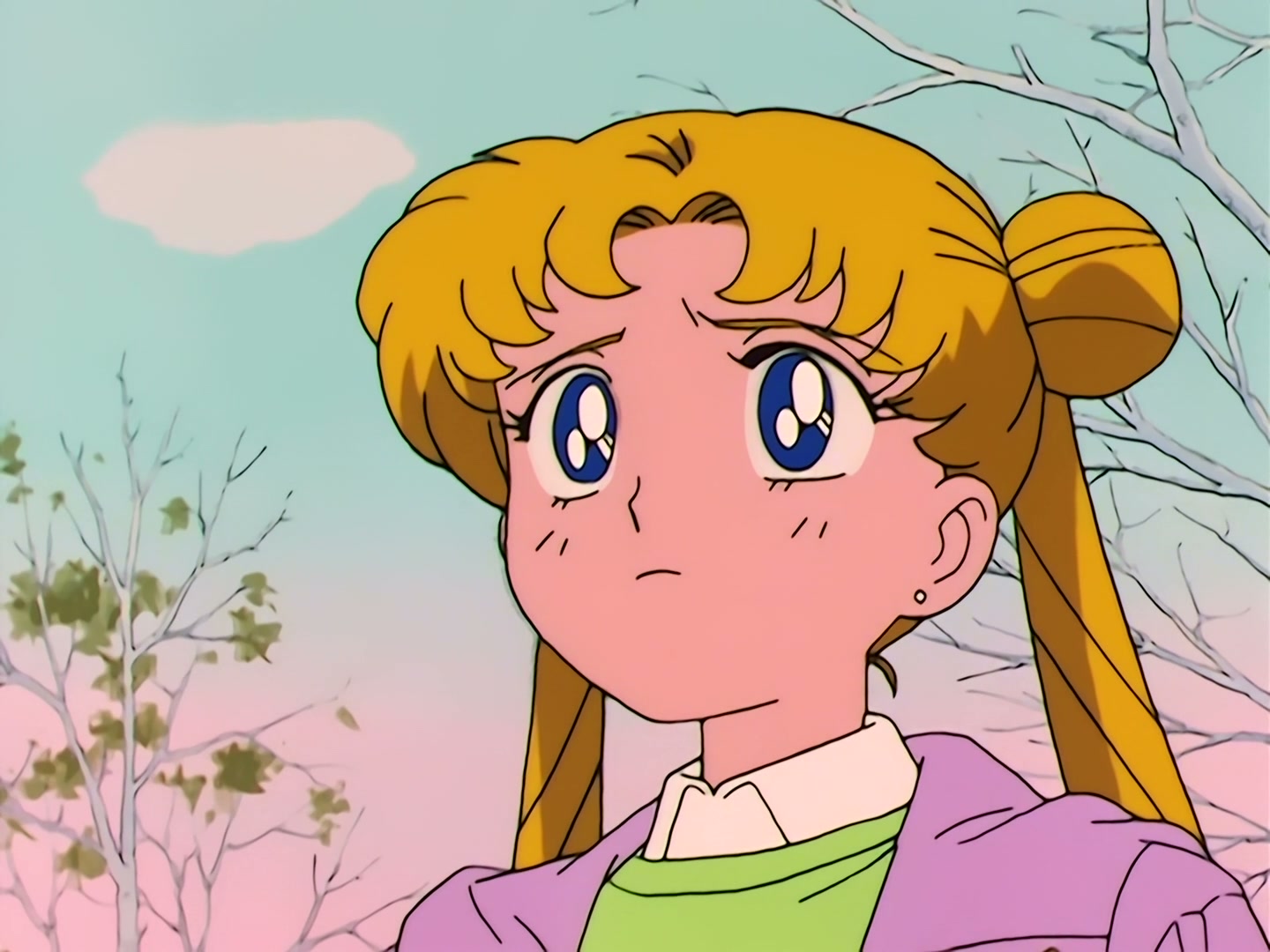 Sailor Moon Ep 40: The Legendary Lake Monster! Usagi's Family Ties @ 00:04:27
