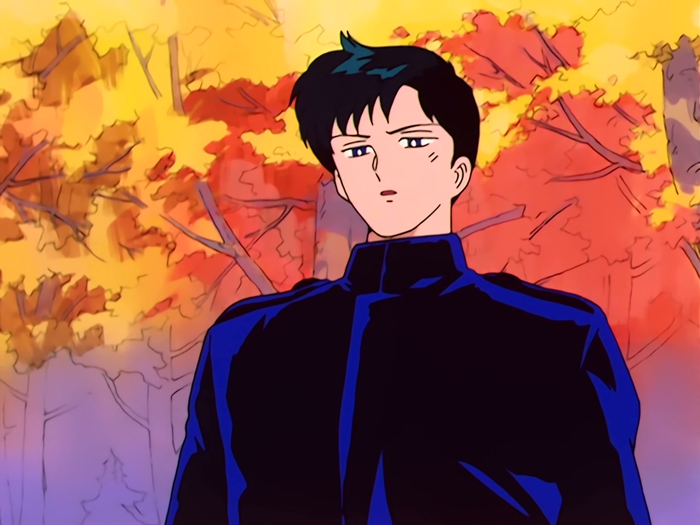 Sailor Moon Ep 40: The Legendary Lake Monster! Usagi's Family Ties @ 00:07:46