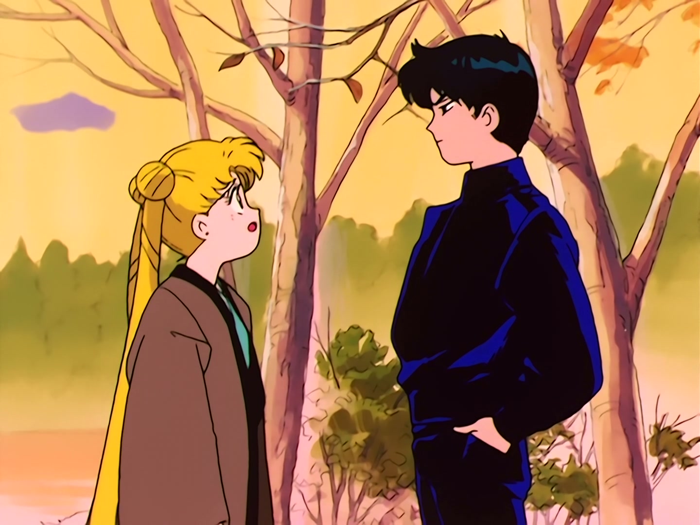 Sailor Moon Ep 40: The Legendary Lake Monster! Usagi's Family Ties @ 00:08:08