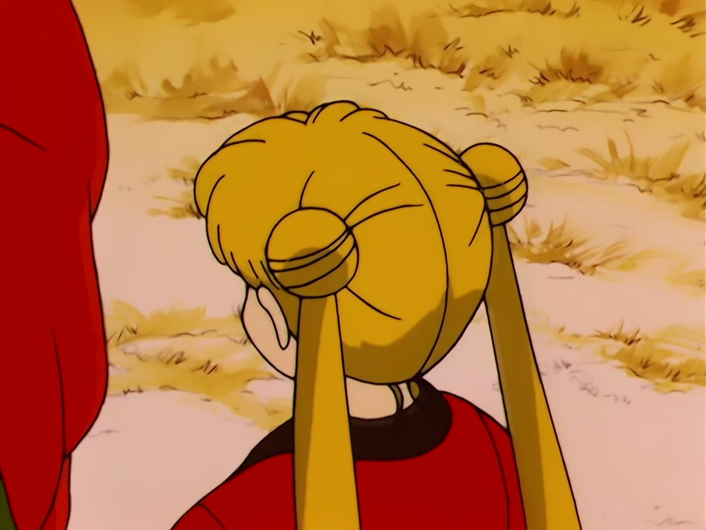 Sailor Moon Ep 40: The Legendary Lake Monster! Usagi's Family Ties @ 00:12:24