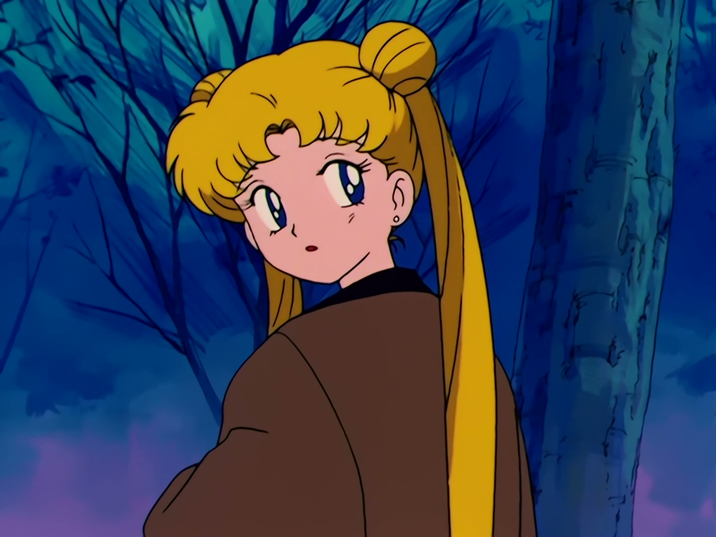 Sailor Moon Ep 40: The Legendary Lake Monster! Usagi's Family Ties @ 00:12:32