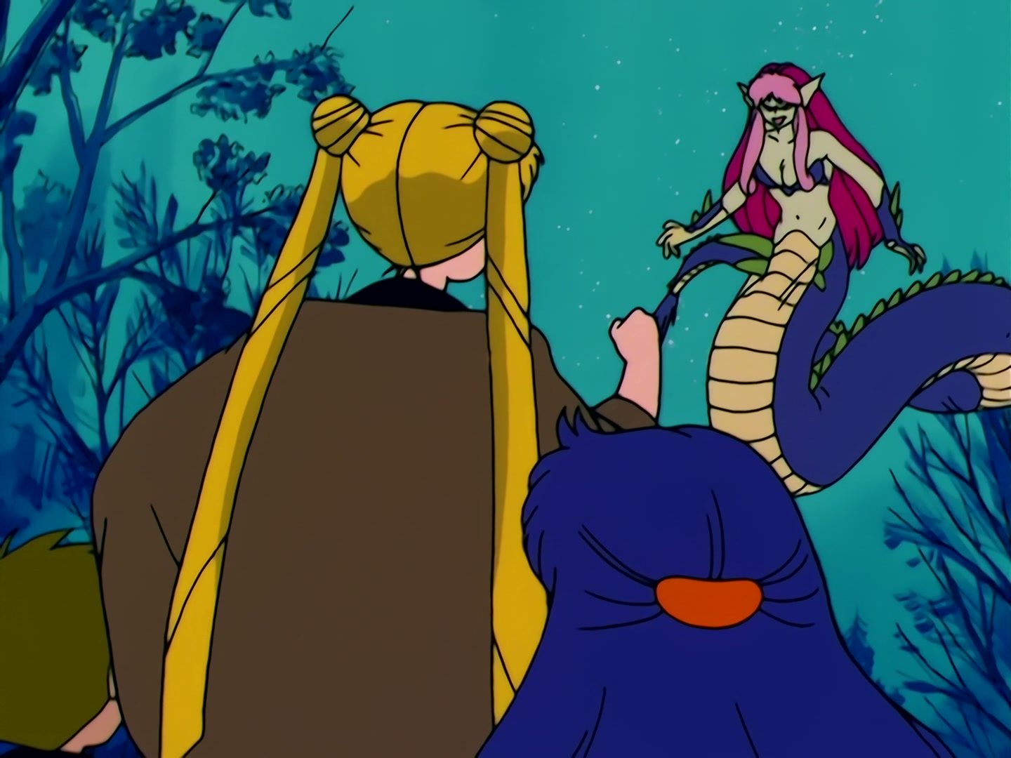 Sailor Moon Ep 40: The Legendary Lake Monster! Usagi's Family Ties @ 00:14:03