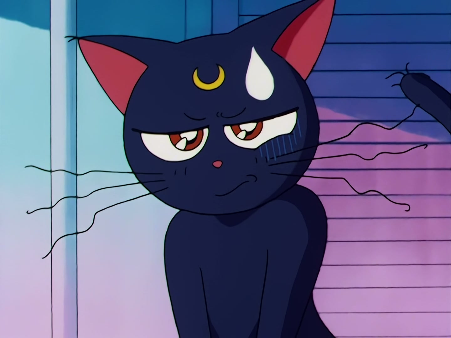 Sailor Moon Ep 42: Sailor Venus's Past! Minako's Tragic Love @ 00:05:41