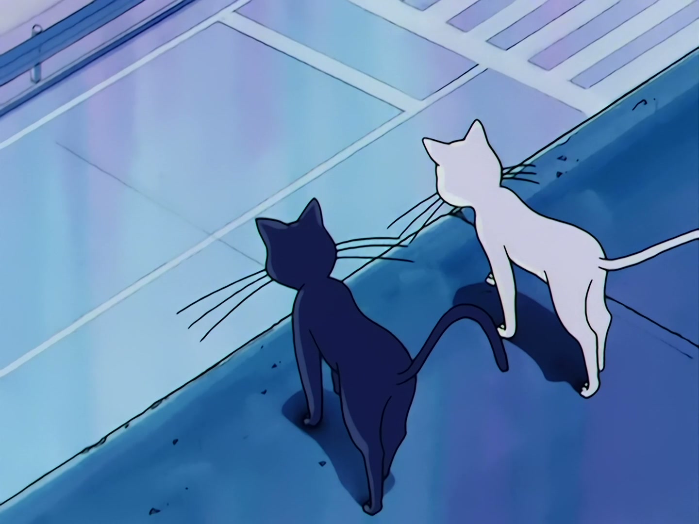 Sailor Moon Ep 43: Is Usagi Going It Alone? The Sailor Guardians Get into a Big Fight @ 00:07:07