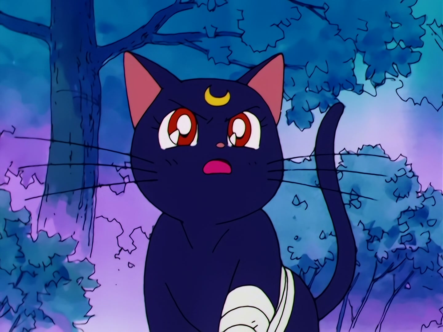 Sailor Moon Ep 45: Death of the Sailor Guardians! The Tragic Final Battle @ 00:04:14