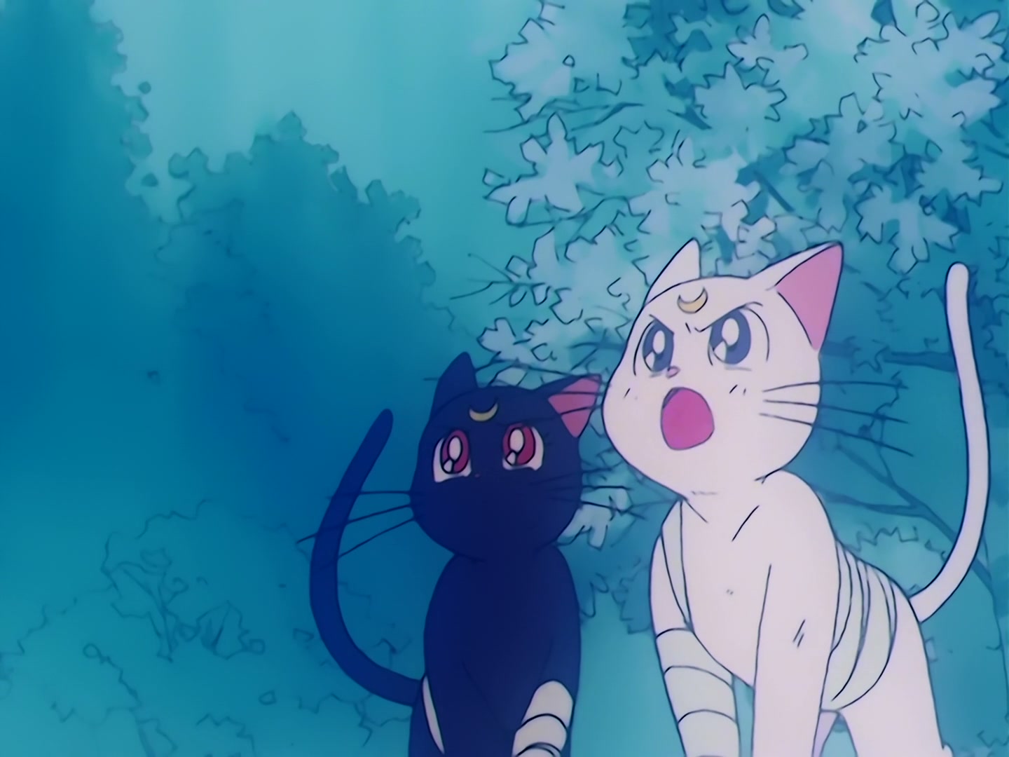 Sailor Moon Ep 45: Death of the Sailor Guardians! The Tragic Final Battle @ 00:05:41