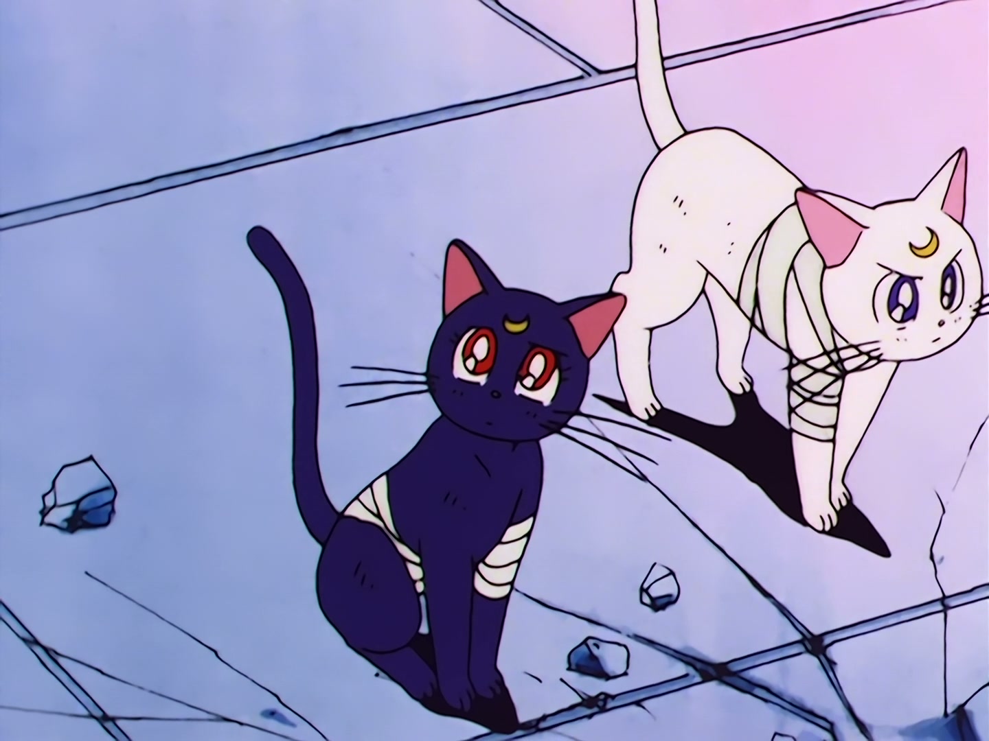 Sailor Moon Ep 45: Death of the Sailor Guardians! The Tragic Final Battle @ 00:06:02