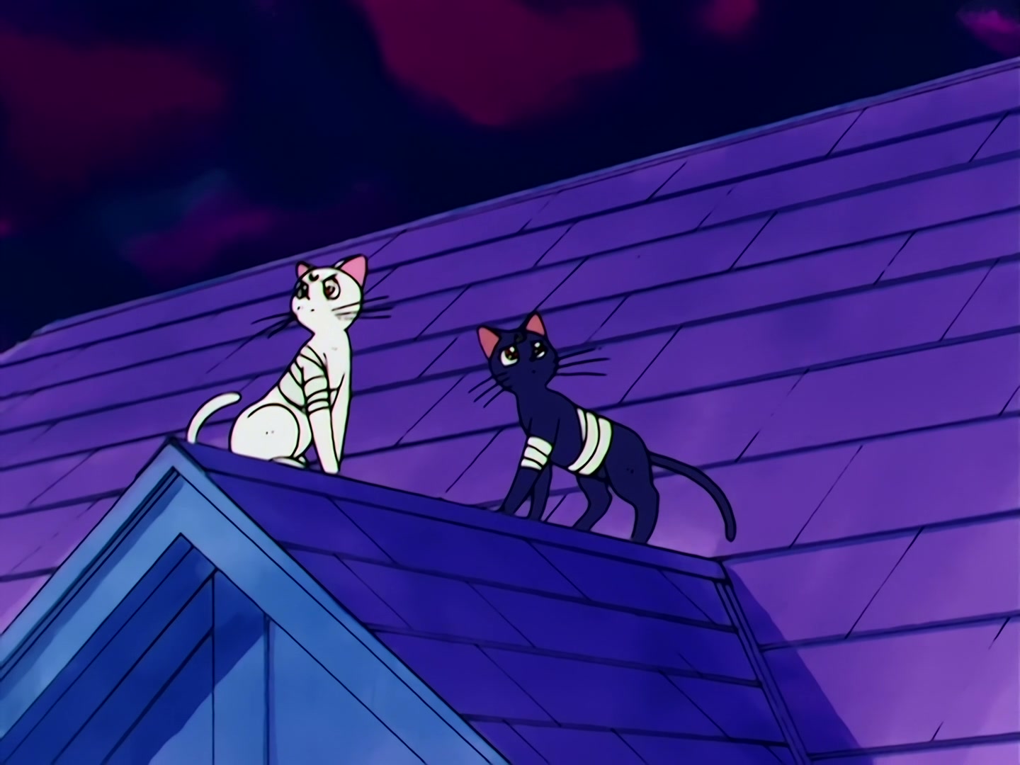 Sailor Moon Ep 46: Usagi's Everlasting Wish! A New Reincarnation @ 00:14:51
