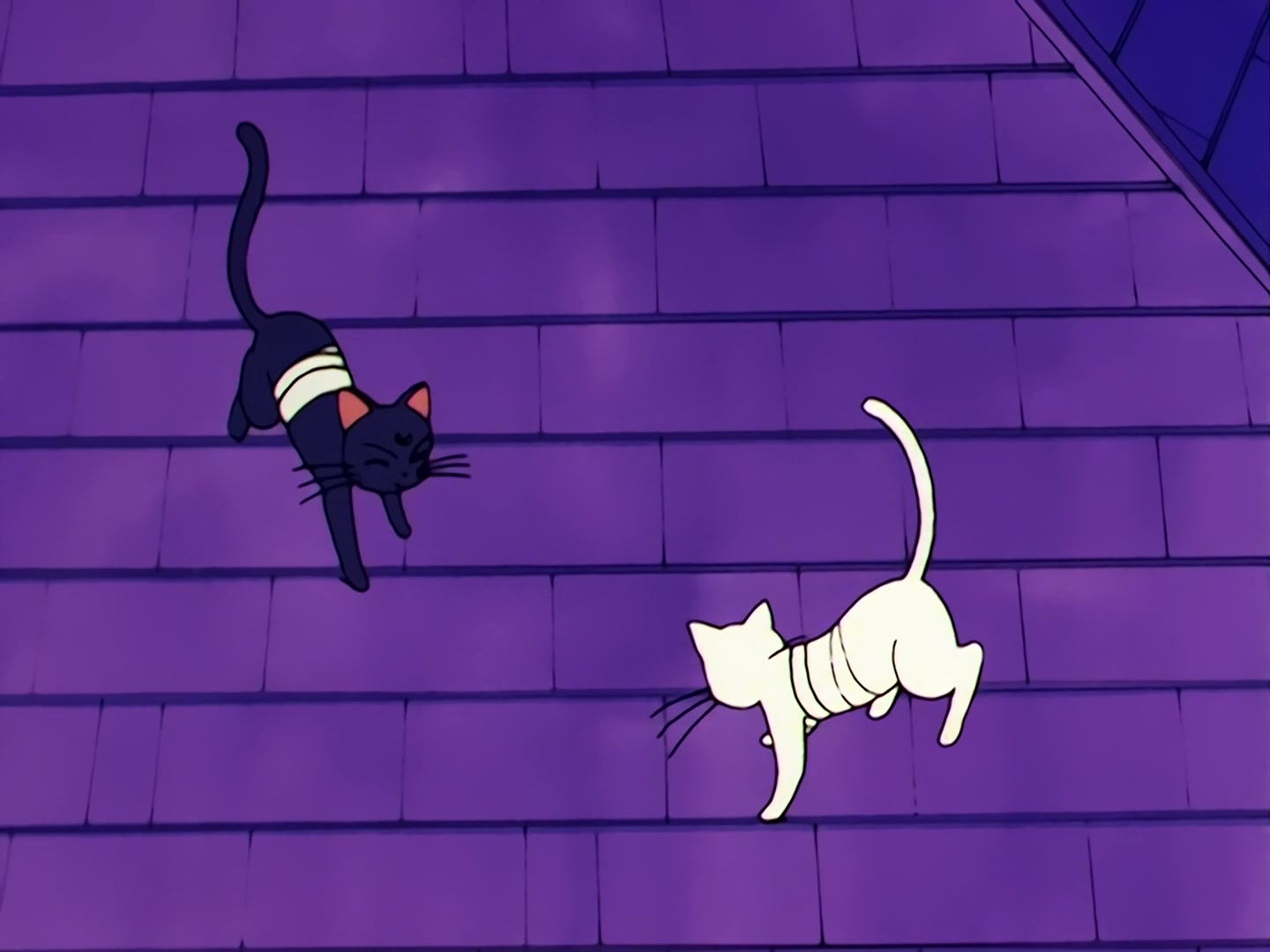 Sailor Moon Ep 46: Usagi's Everlasting Wish! A New Reincarnation @ 00:15:00