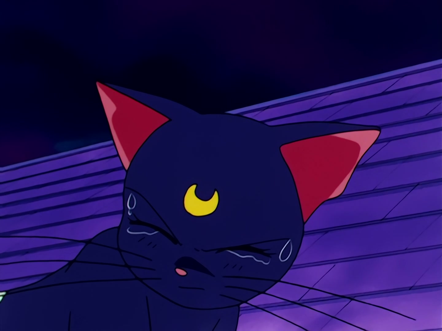Sailor Moon Ep 46: Usagi's Everlasting Wish! A New Reincarnation @ 00:15:13