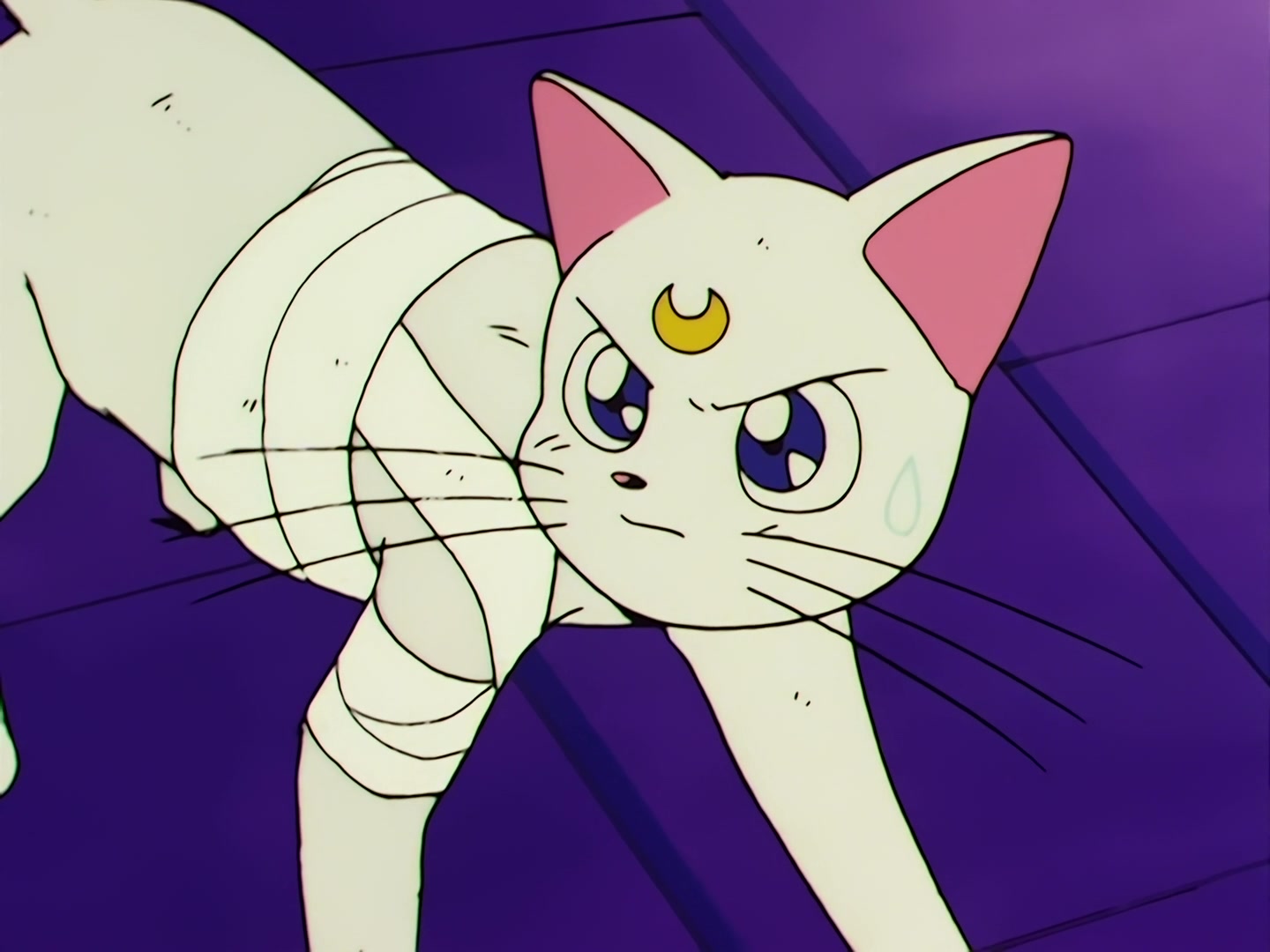 Sailor Moon Ep 46: Usagi's Everlasting Wish! A New Reincarnation @ 00:15:17