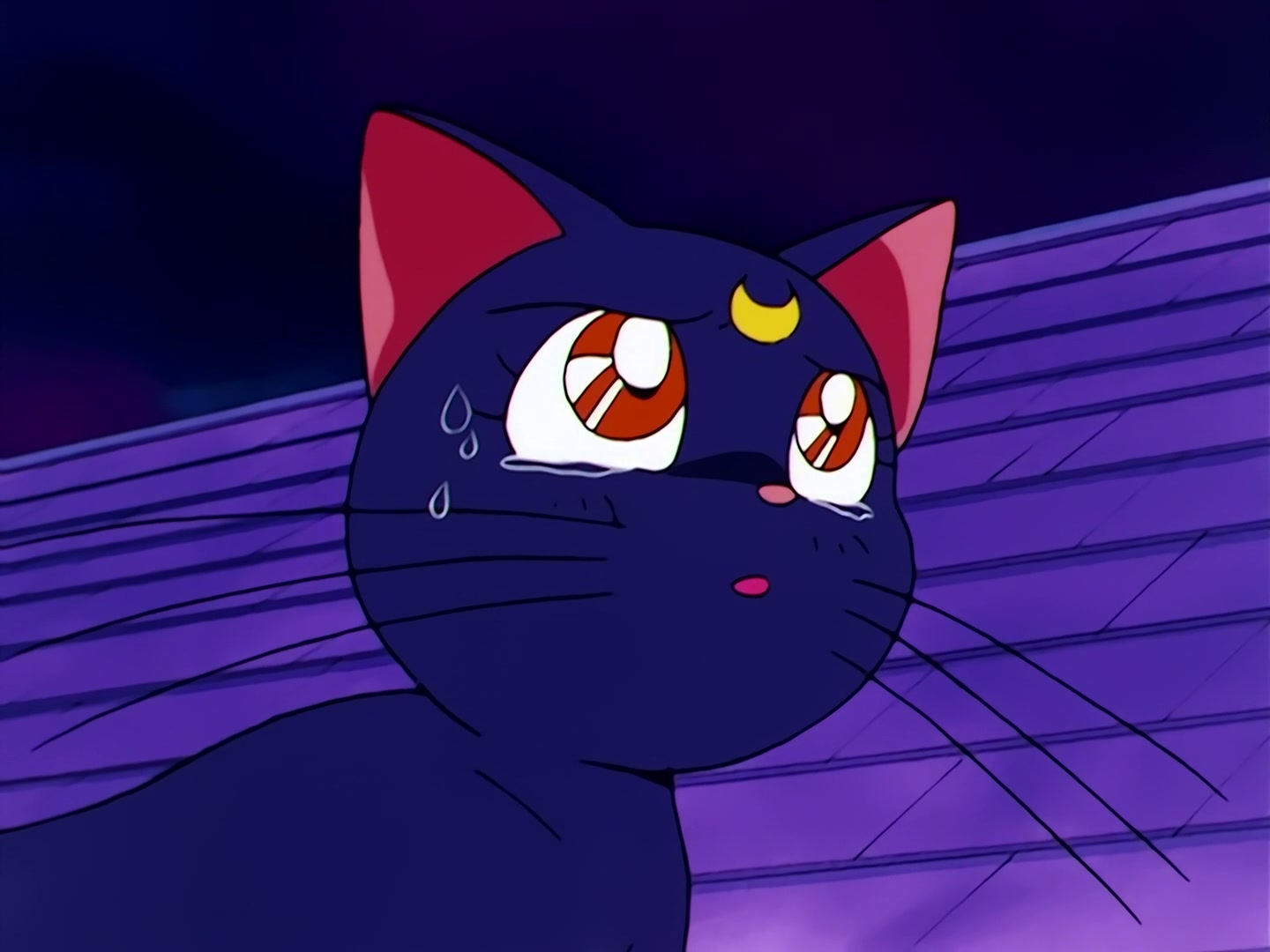 Sailor Moon Ep 46: Usagi's Everlasting Wish! A New Reincarnation @ 00:15:26