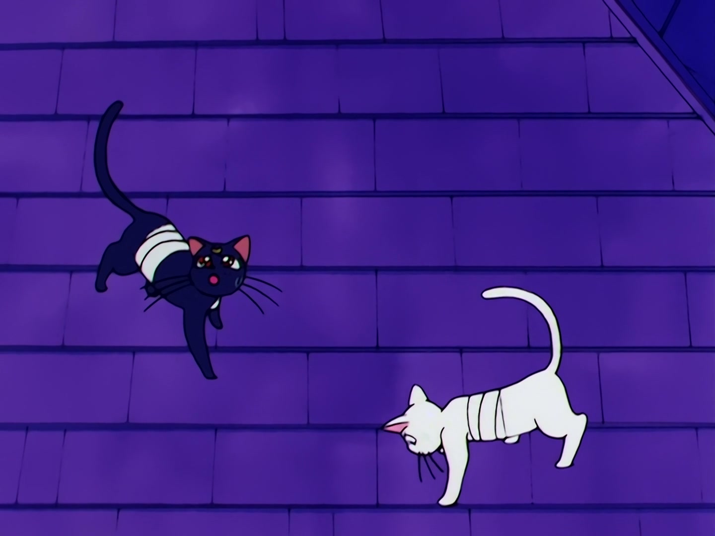 Sailor Moon Ep 46: Usagi's Everlasting Wish! A New Reincarnation @ 00:15:30