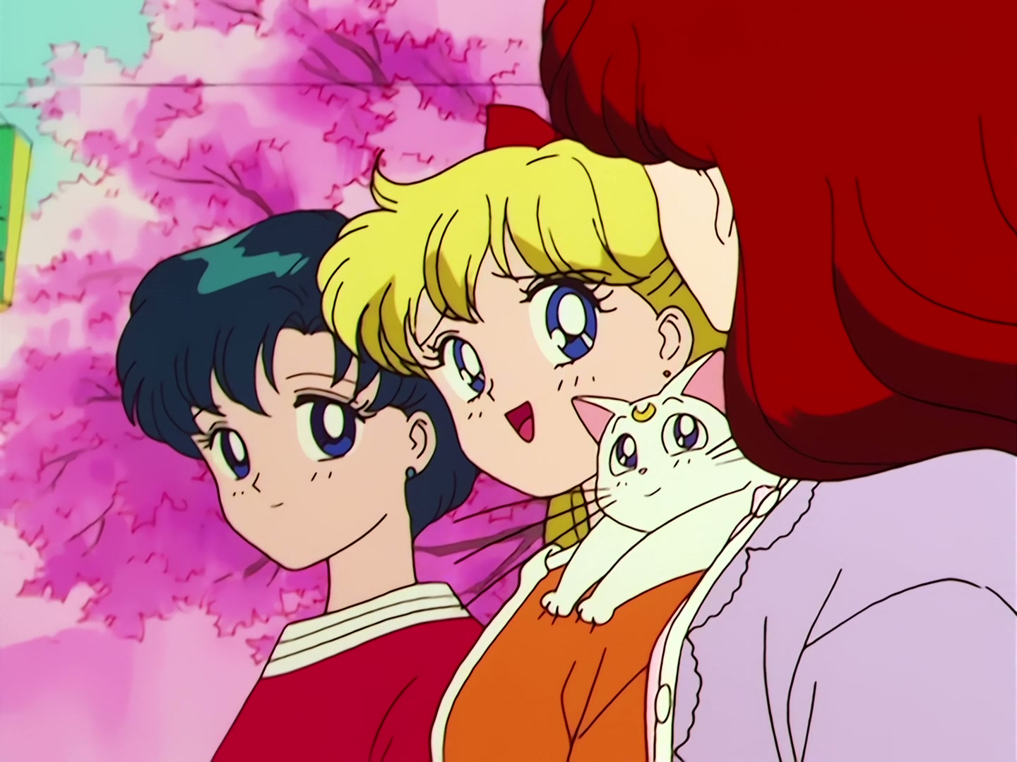Sailor Moon Ep 51: A New Transformation! Usagi's Power-Up @ 00:03:13