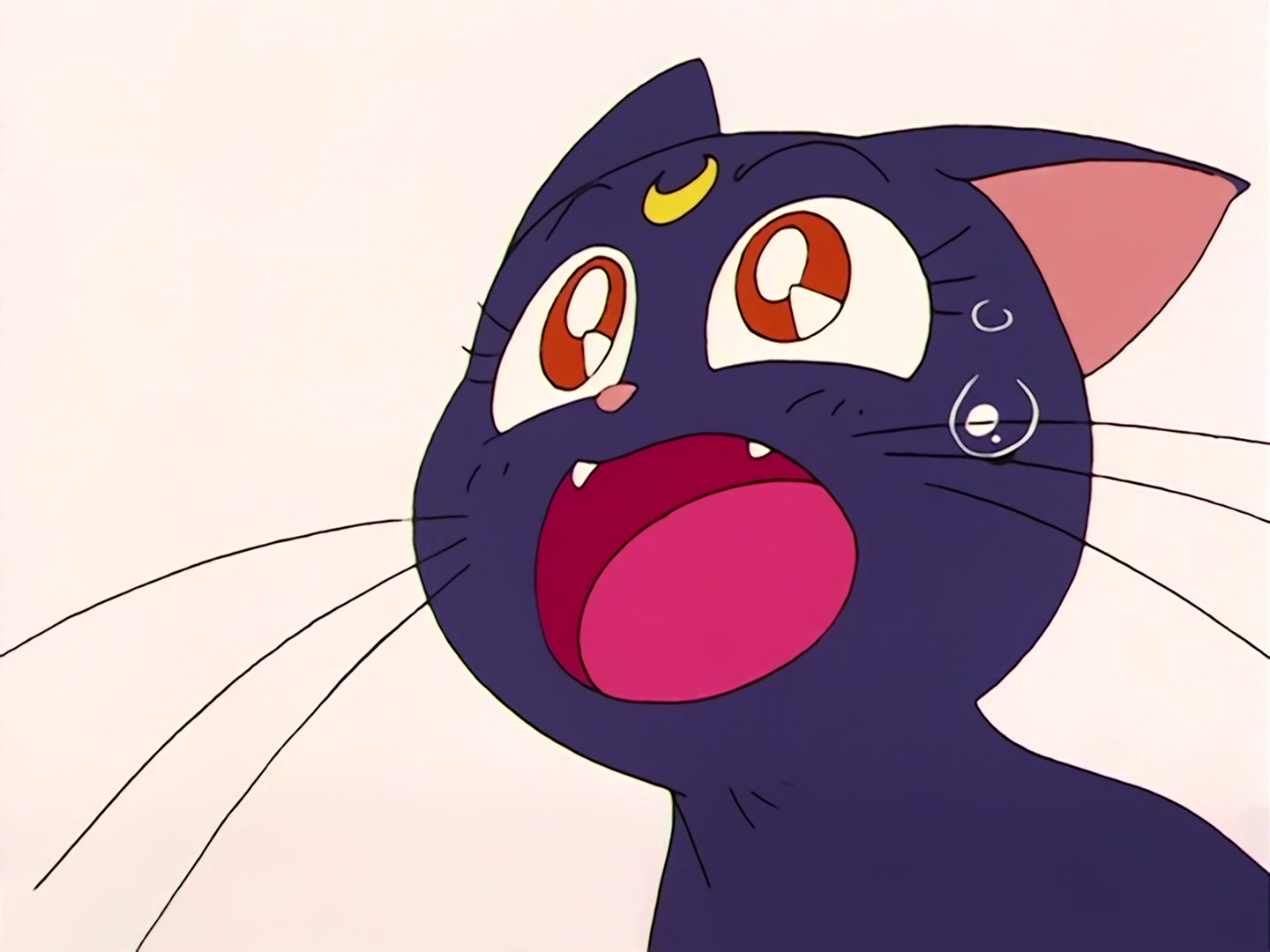 Sailor Moon Ep 55: Is Seijuro the Moonlight Knight? Mako-chan Falls in Love @ 00:03:39