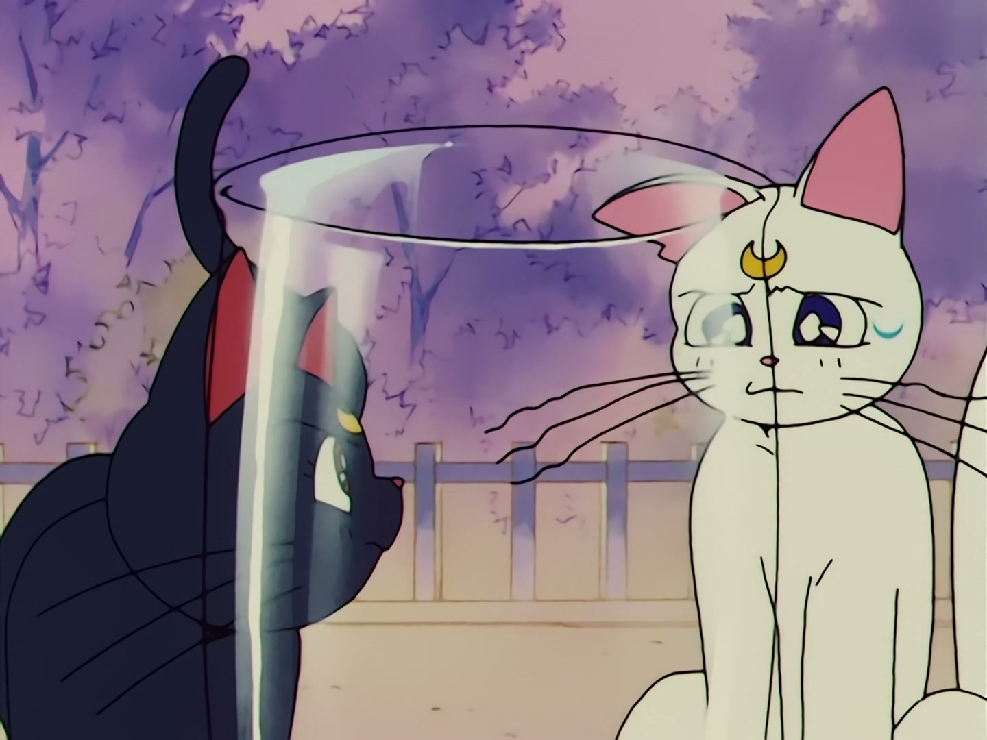 Sailor Moon Ep 58: The Disconnecting Hearts! The Angry Makai Tree @ 00:14:21