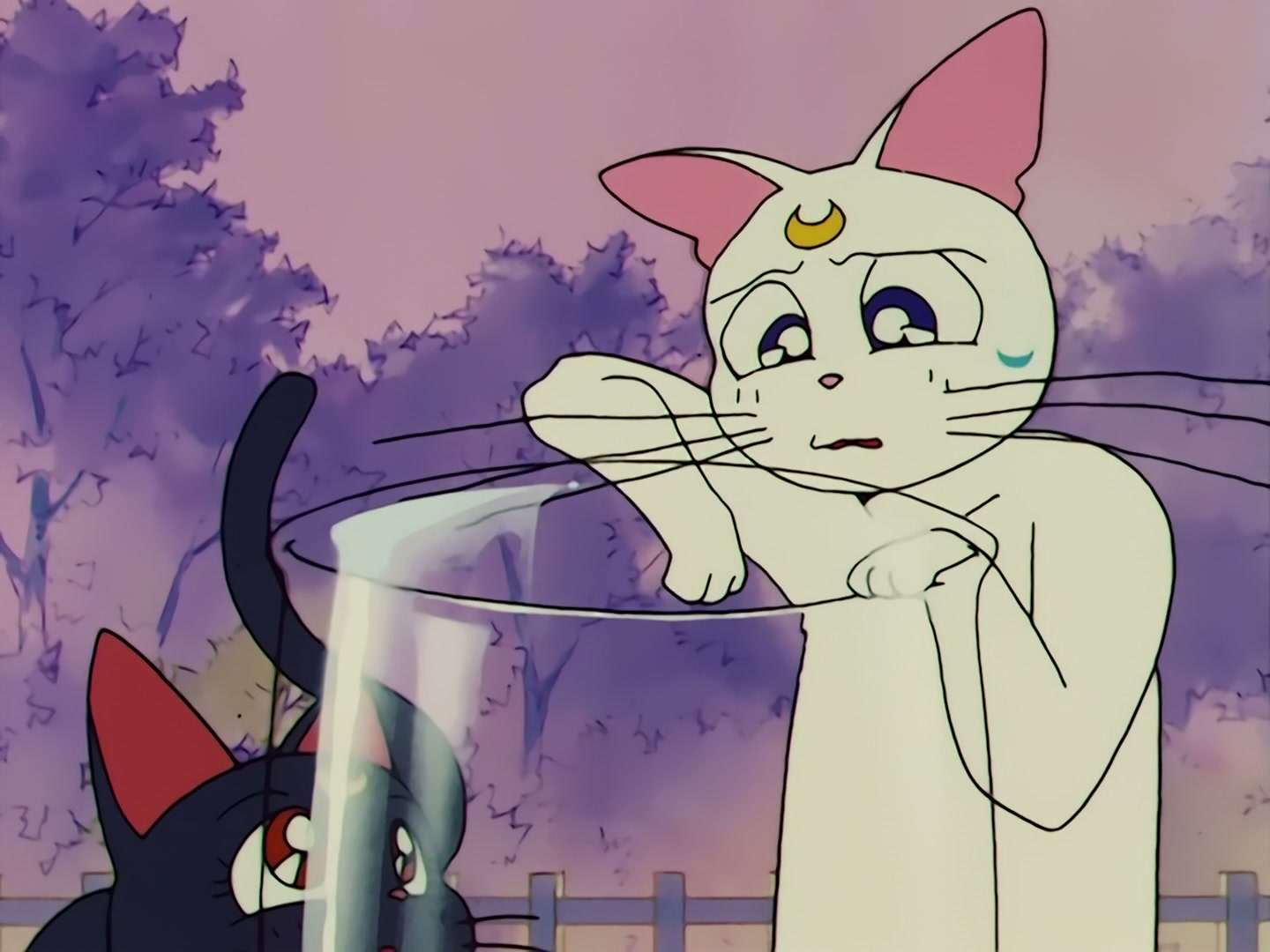 Sailor Moon Ep 58: The Disconnecting Hearts! The Angry Makai Tree @ 00:14:25