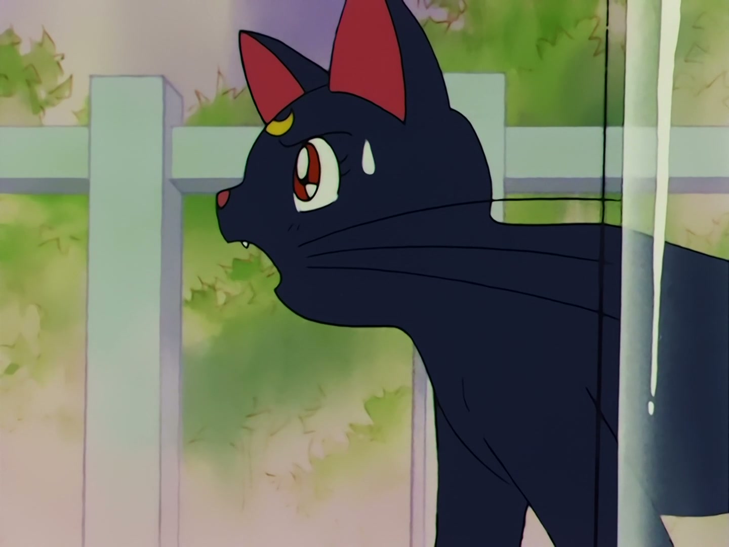 Sailor Moon Ep 58: The Disconnecting Hearts! The Angry Makai Tree @ 00:14:38