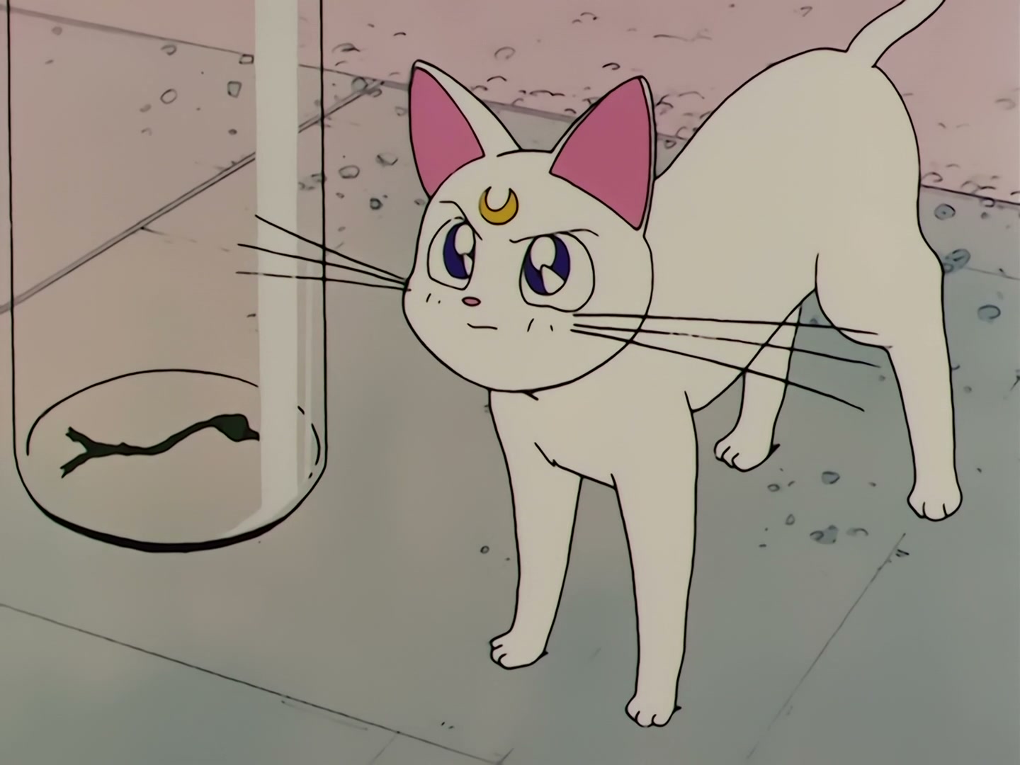 Sailor Moon Ep 58: The Disconnecting Hearts! The Angry Makai Tree @ 00:14:51