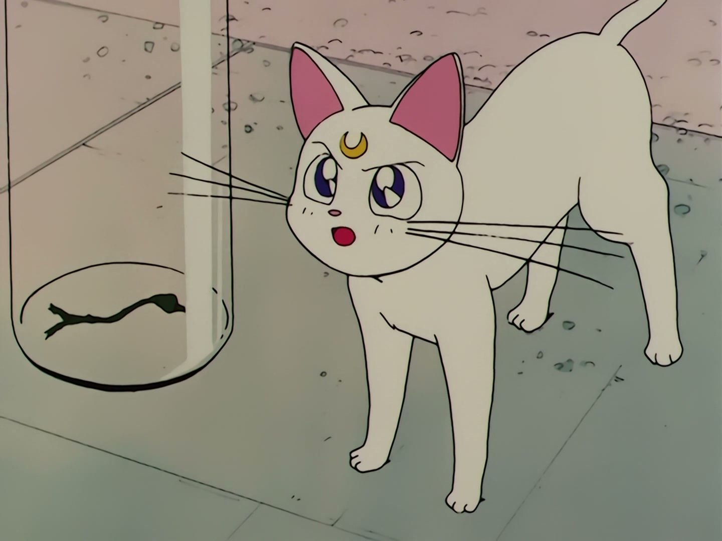 Sailor Moon Ep 58: The Disconnecting Hearts! The Angry Makai Tree @ 00:14:55