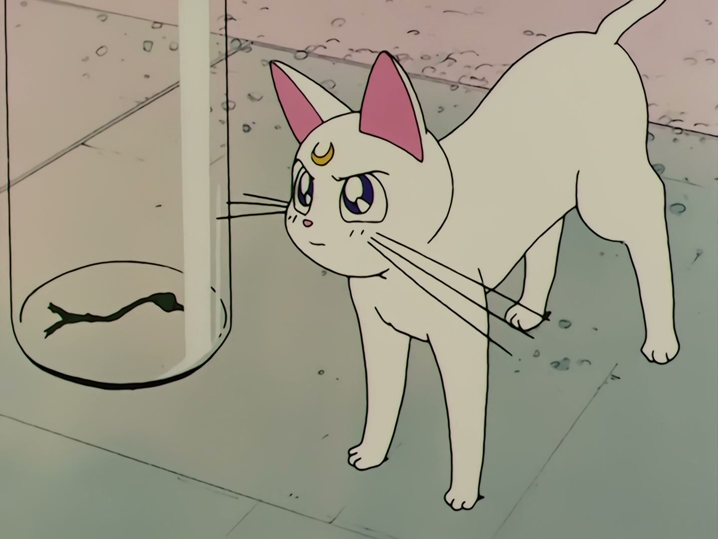 Sailor Moon Ep 58: The Disconnecting Hearts! The Angry Makai Tree @ 00:15:00