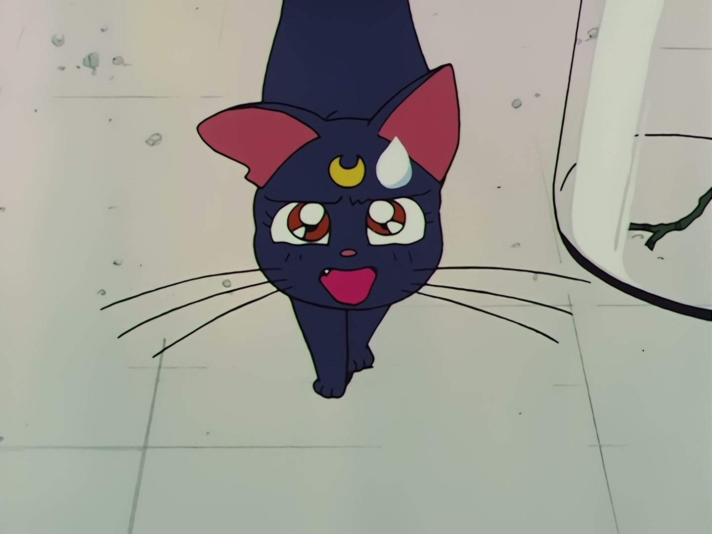 Sailor Moon Ep 58: The Disconnecting Hearts! The Angry Makai Tree @ 00:15:39