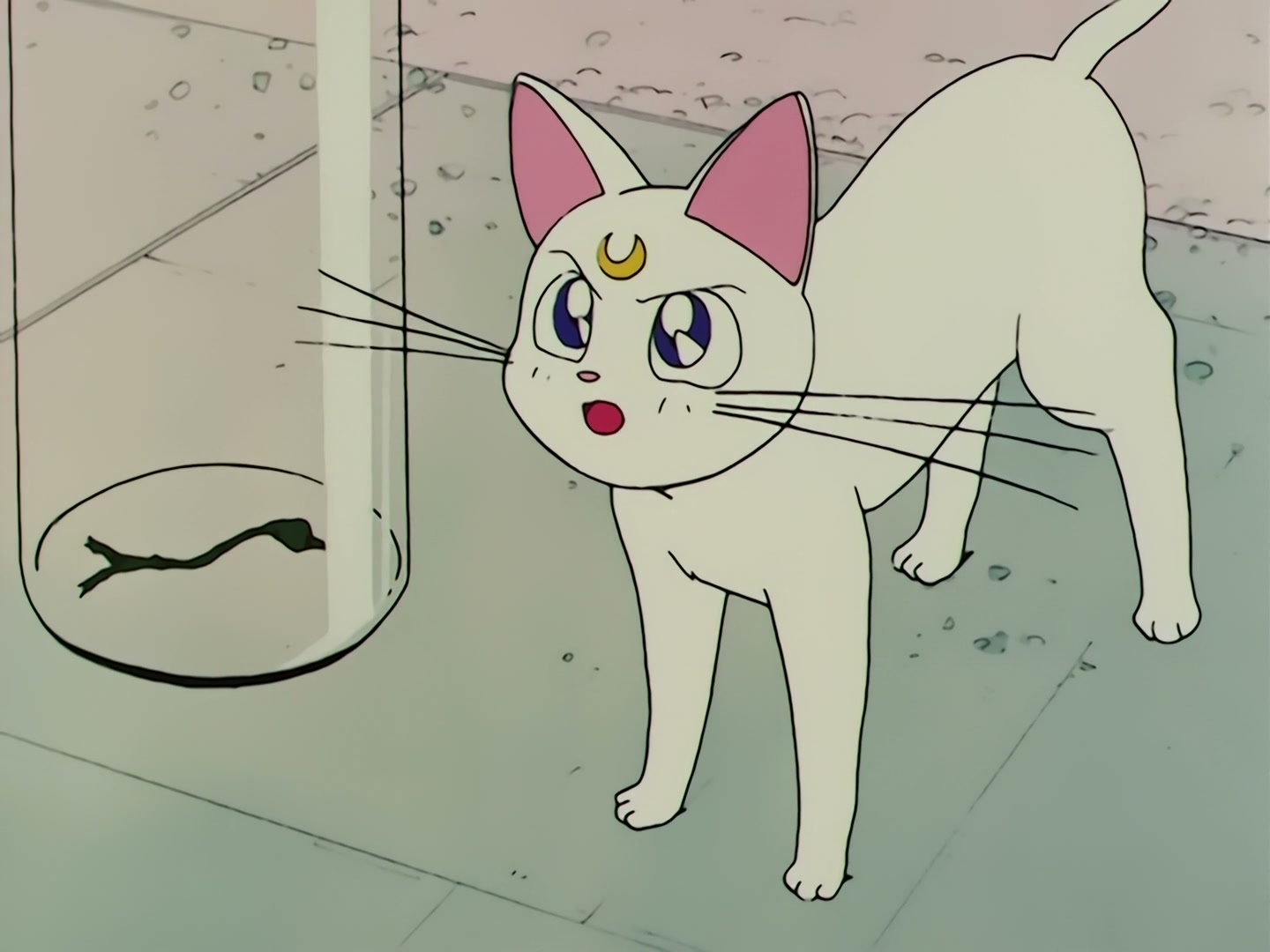 Sailor Moon Ep 58: The Disconnecting Hearts! The Angry Makai Tree @ 00:15:52