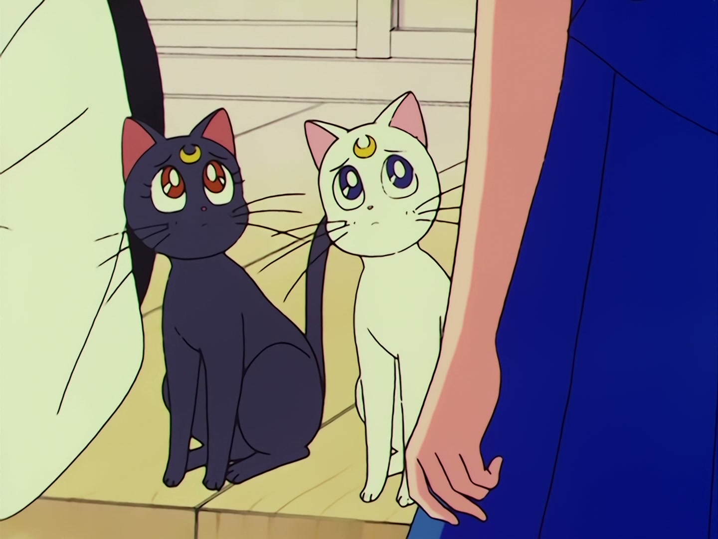 Sailor Moon Ep 62: A Guardian's Friendship! Goodbye, Ami @ 00:04:23